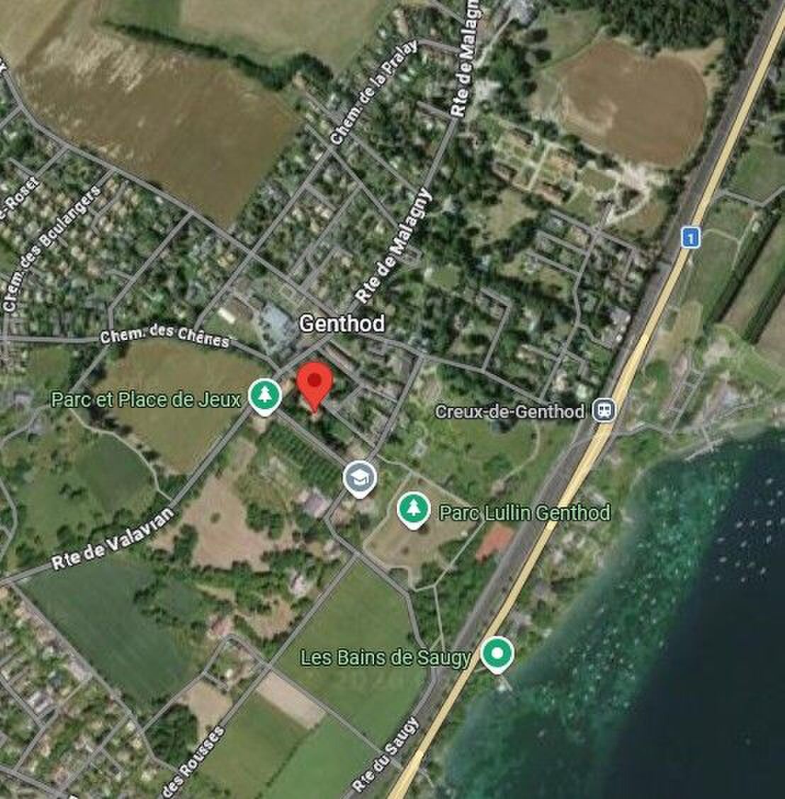 Firstview
