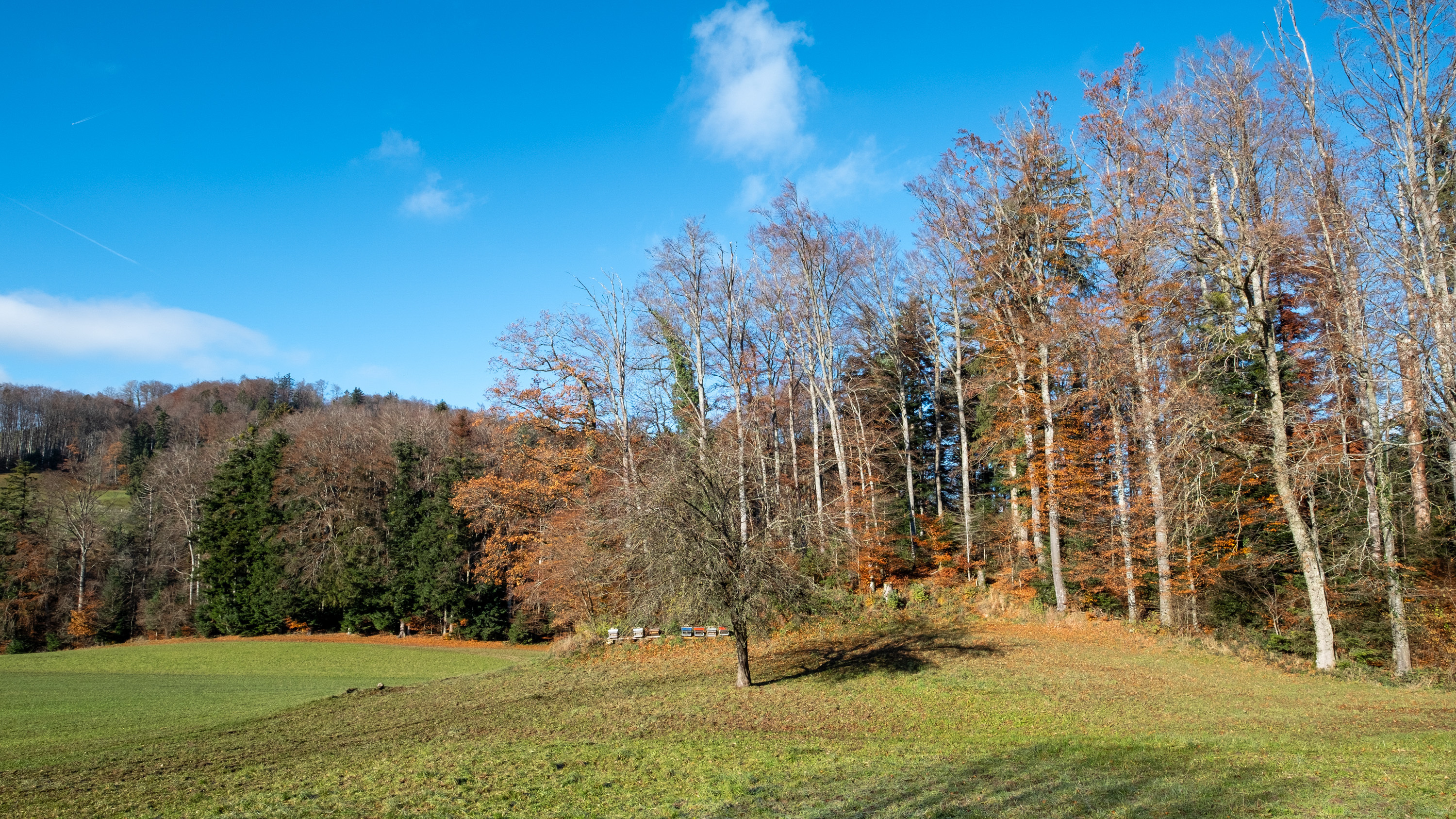 Projet immobilier à Villarimboud avec 2 maisons Domespace à vendre : l'environnement.