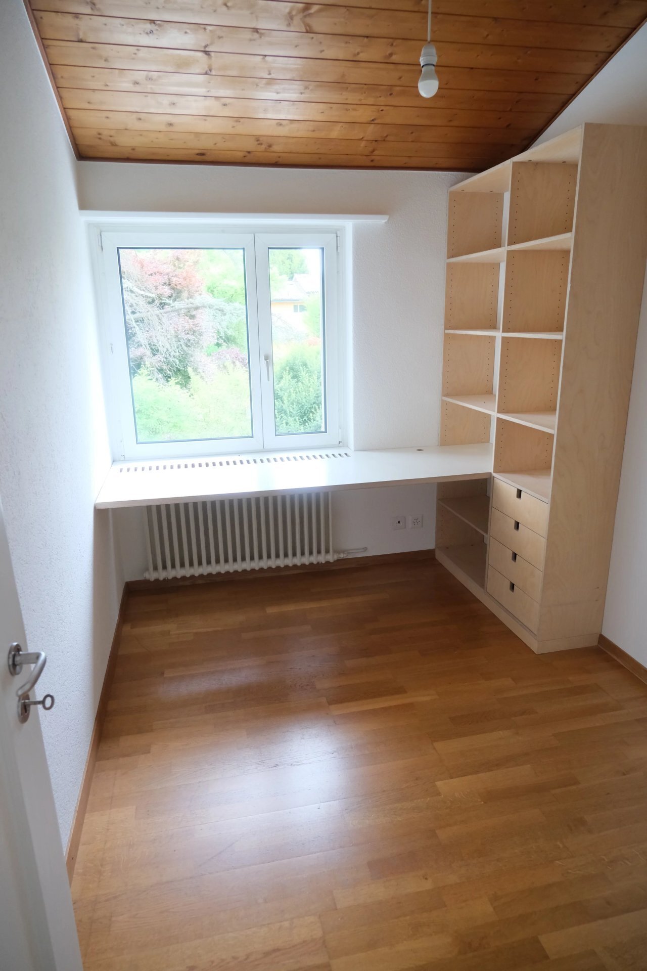 Picture 8