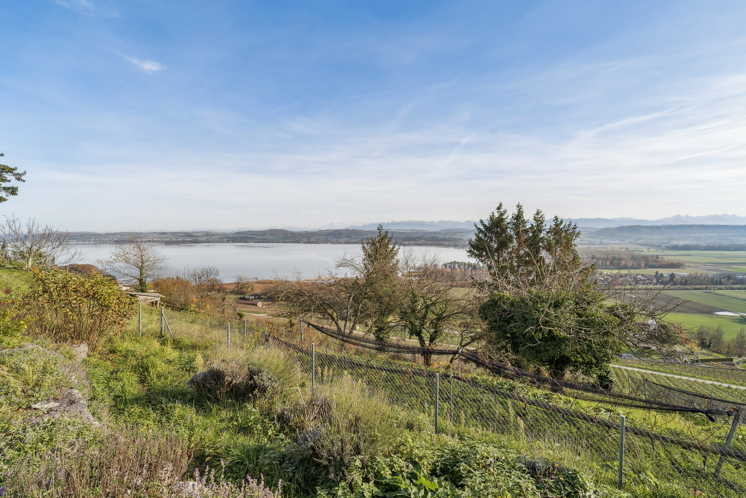 Seeblick 2. Terrasse Garten