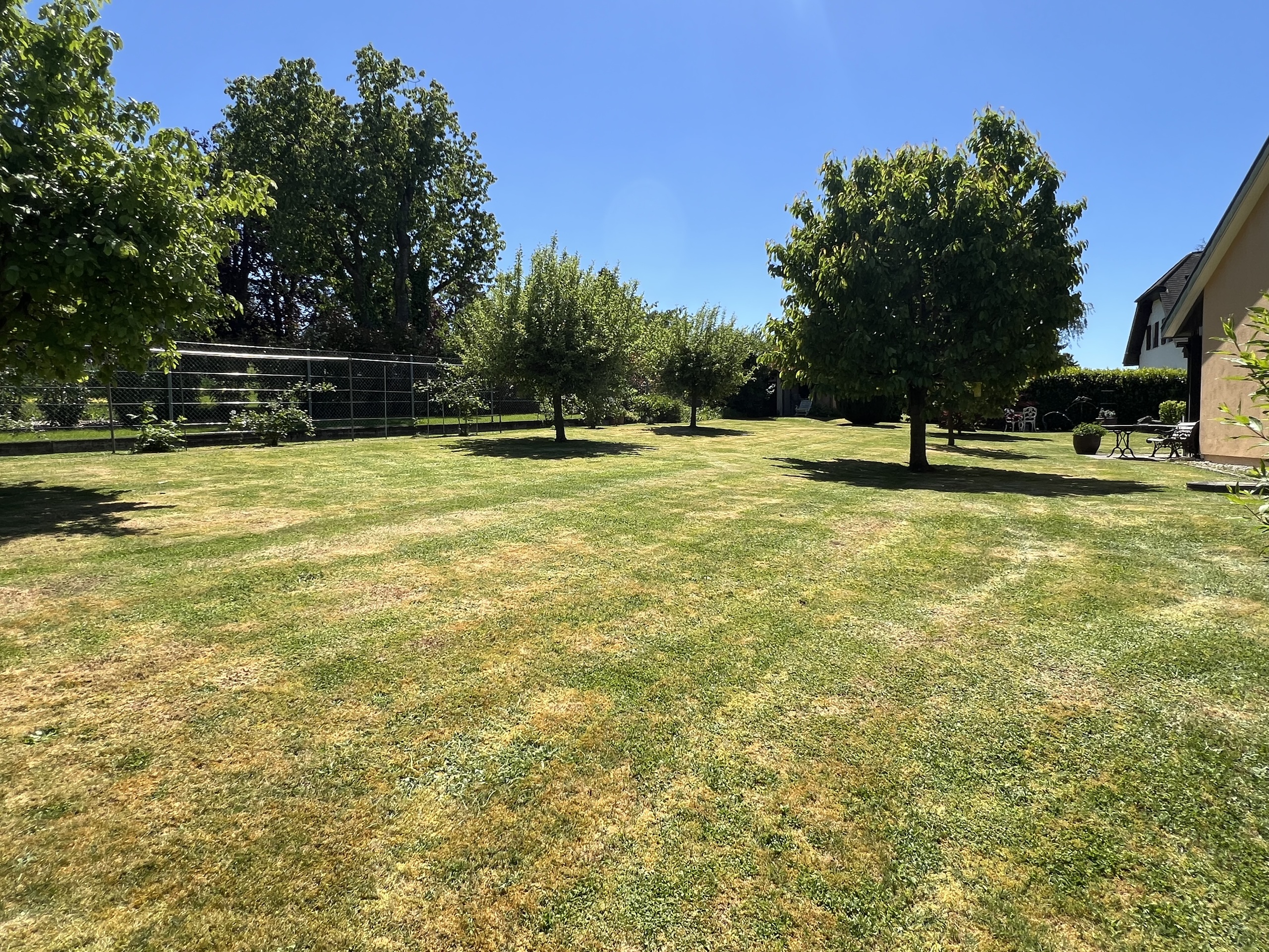 Land with fruit trees Land with fruit trees