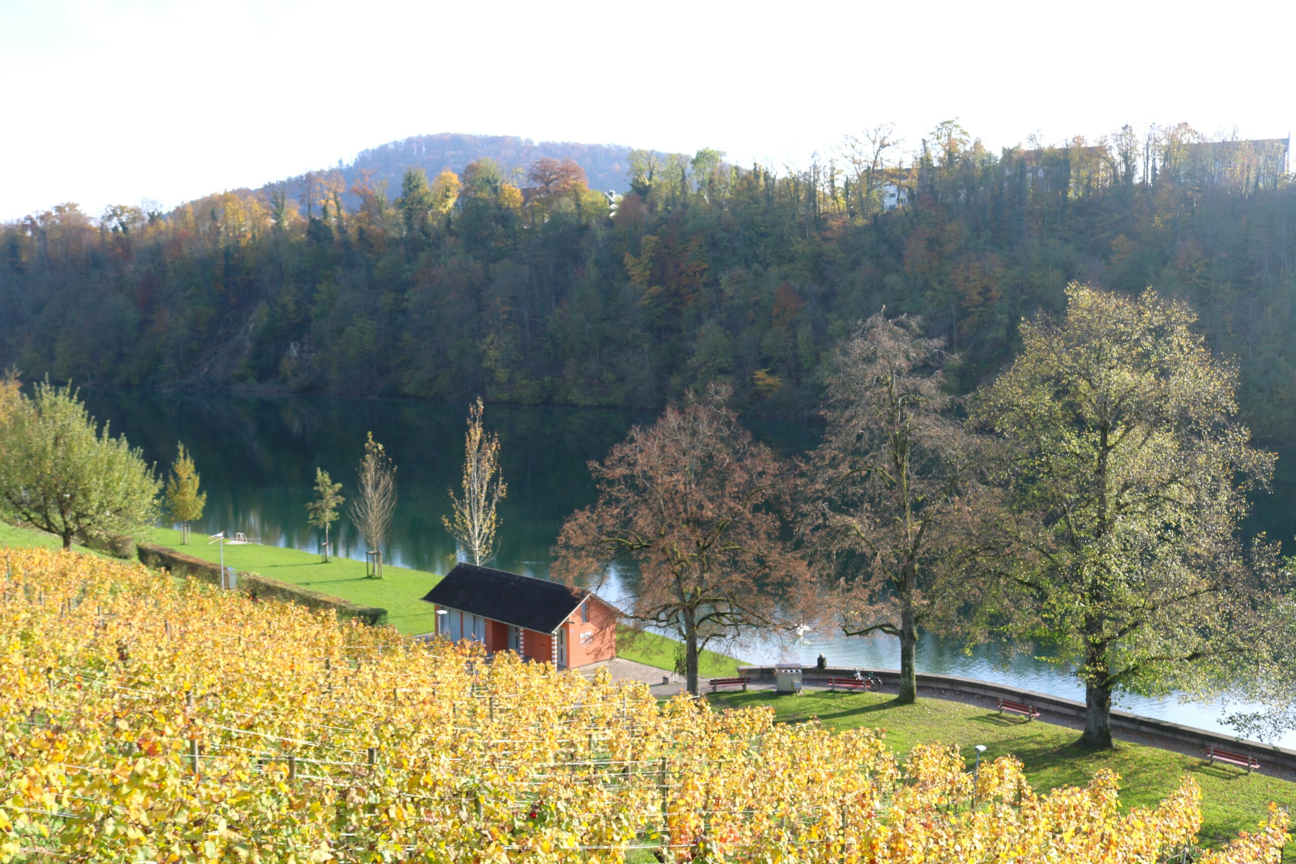 Rhy-Badi vor der Haustüre Rhy-Badi vor der Haustüre