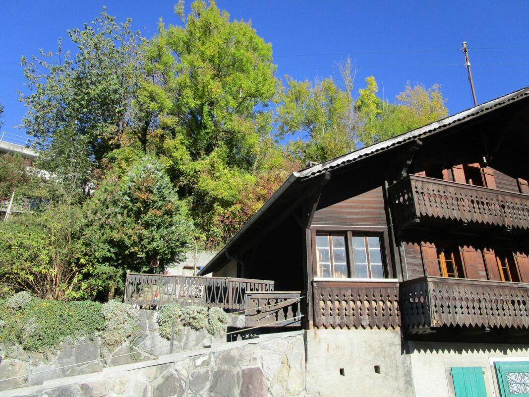 Immagine di copertina