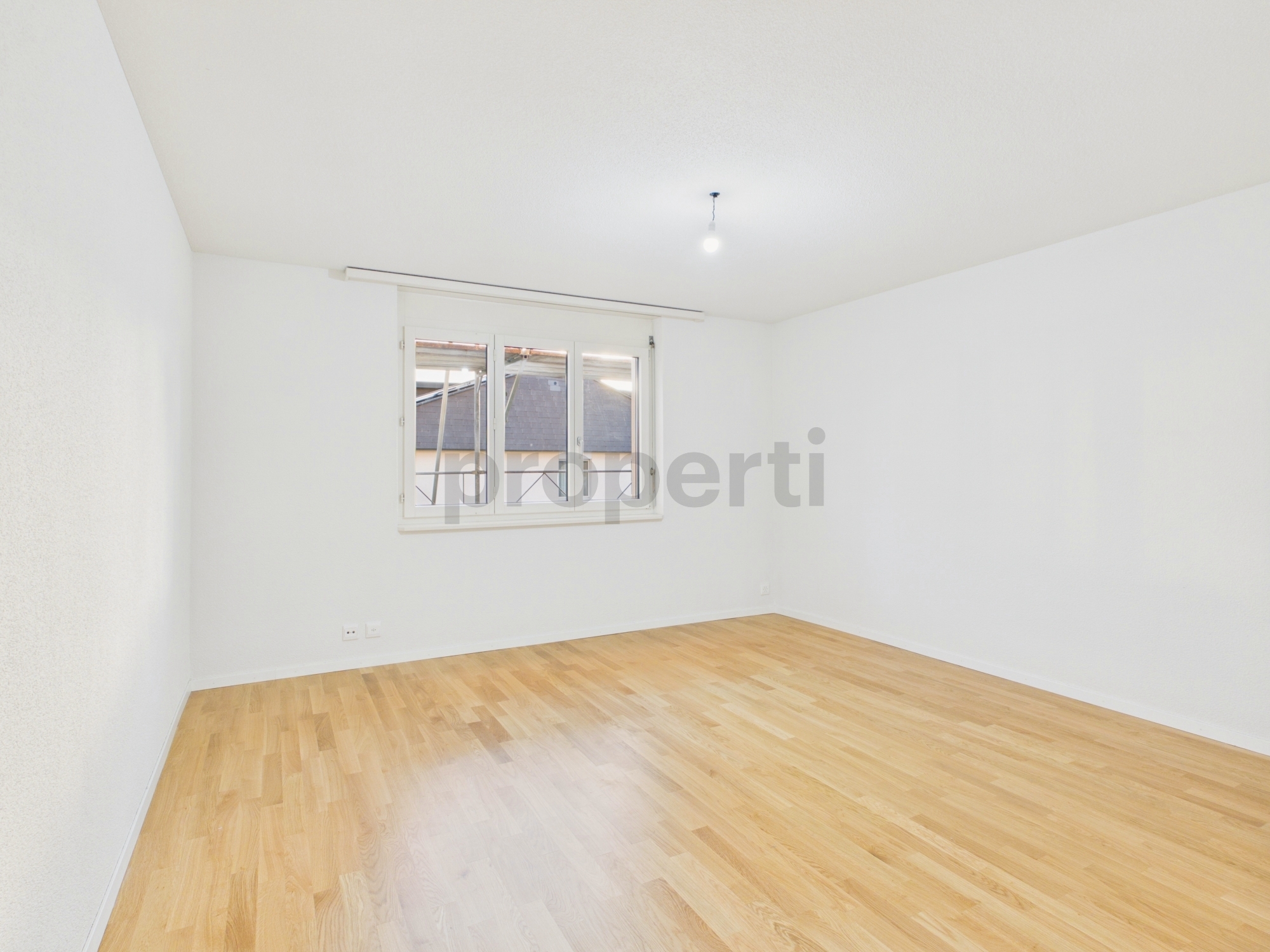 Image 4 Image 4