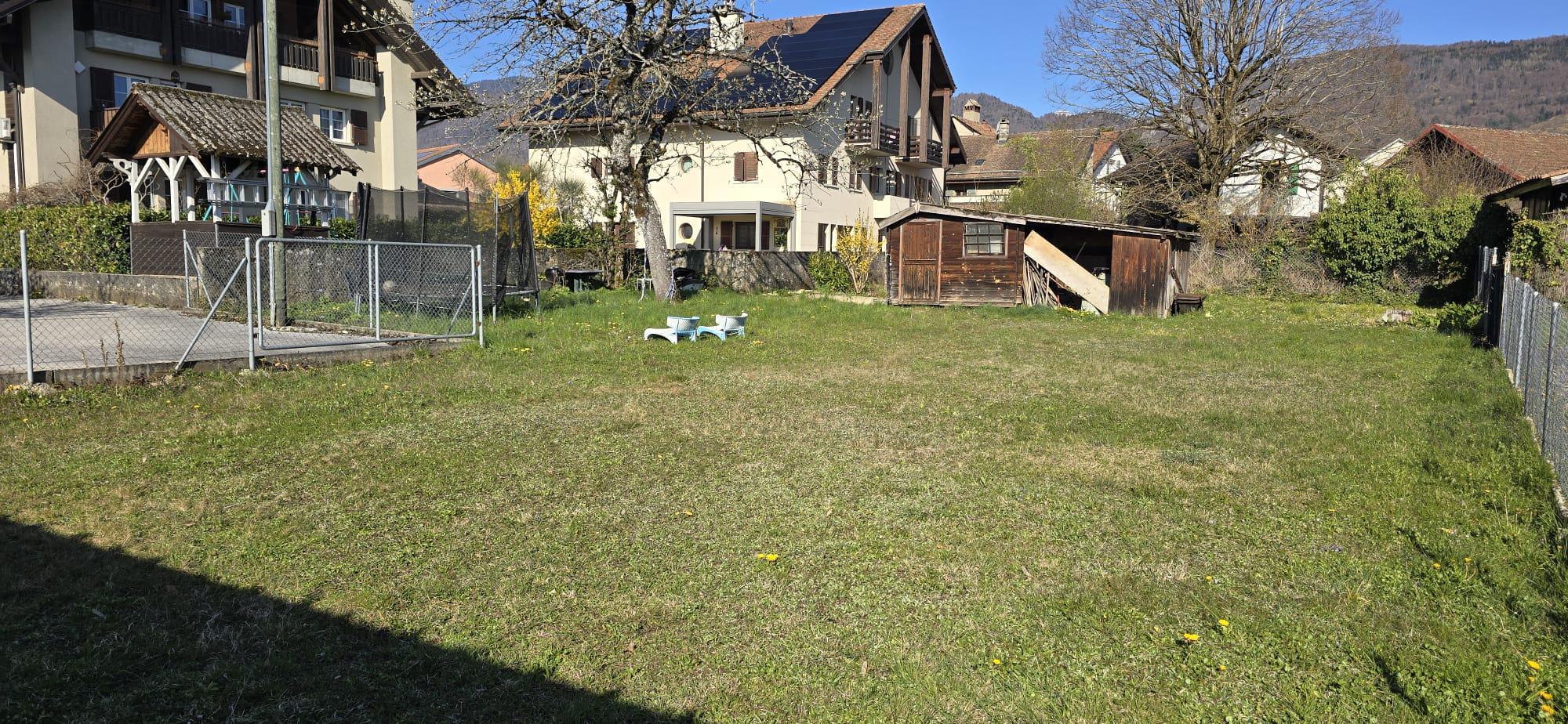 Picture 12
