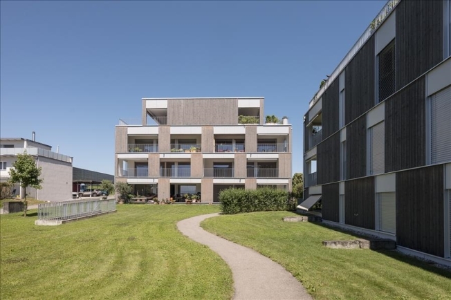 Immagine di copertina