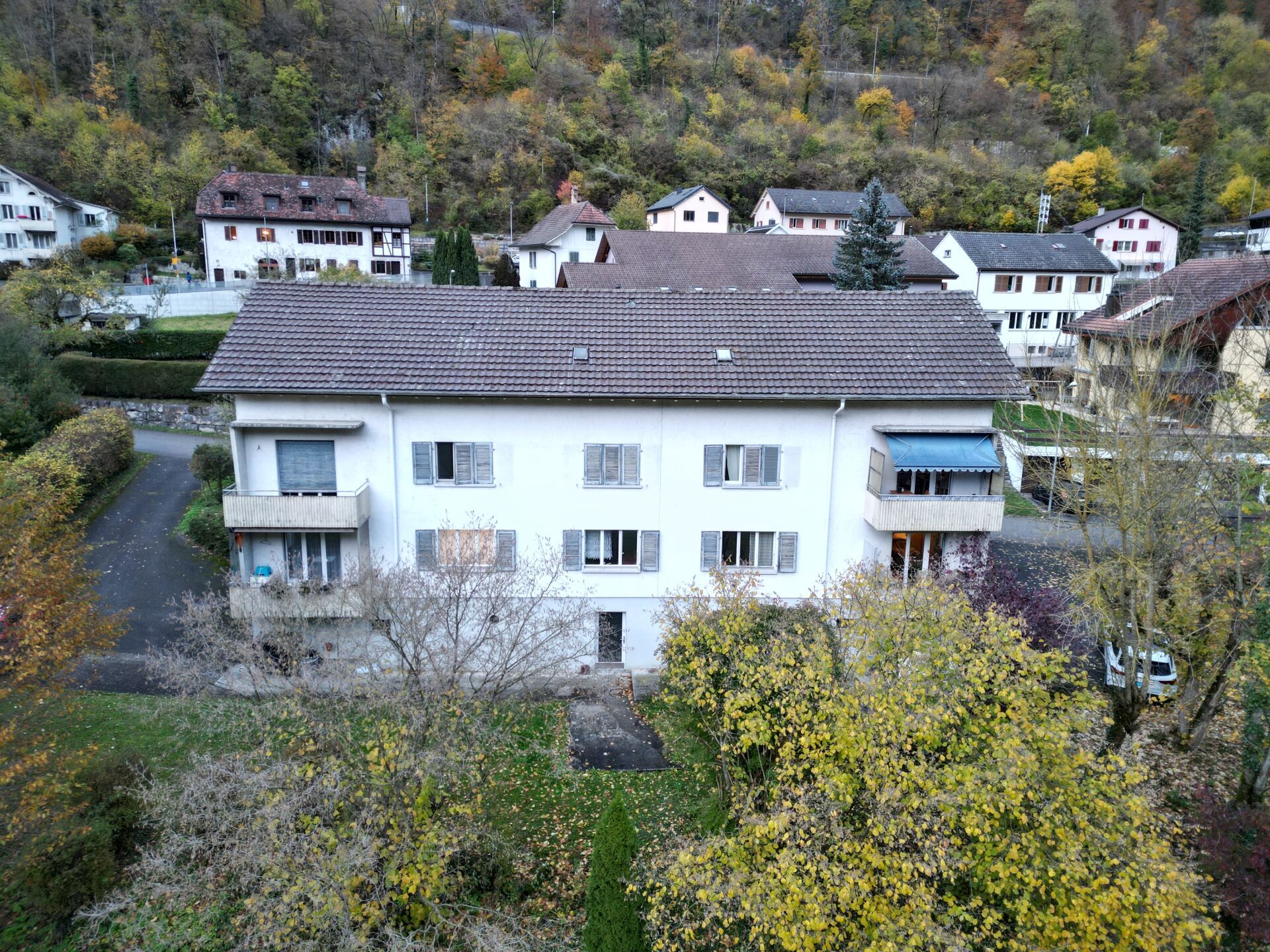 Firstview 1