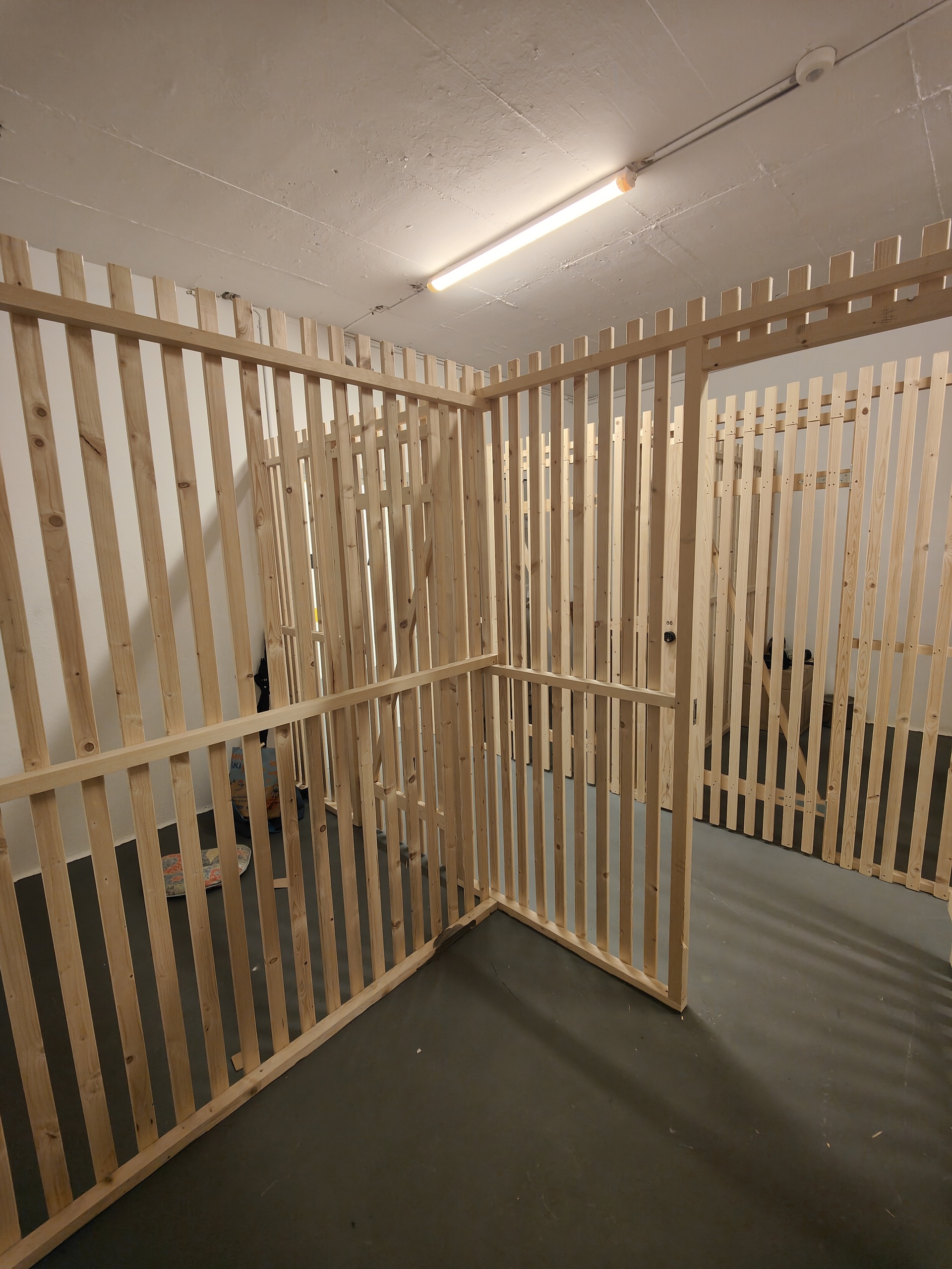 Picture 6