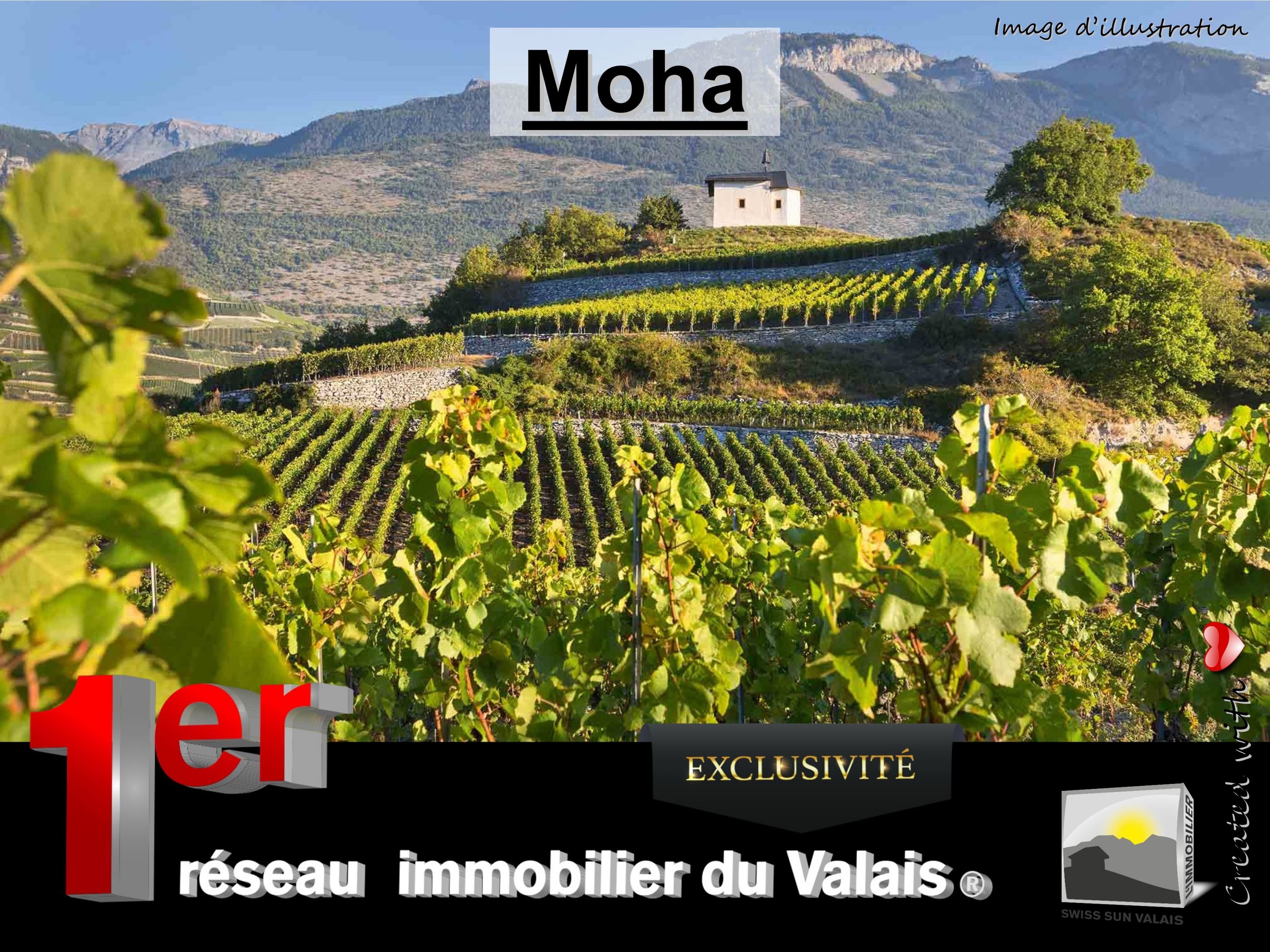 Premier coup d'oeil