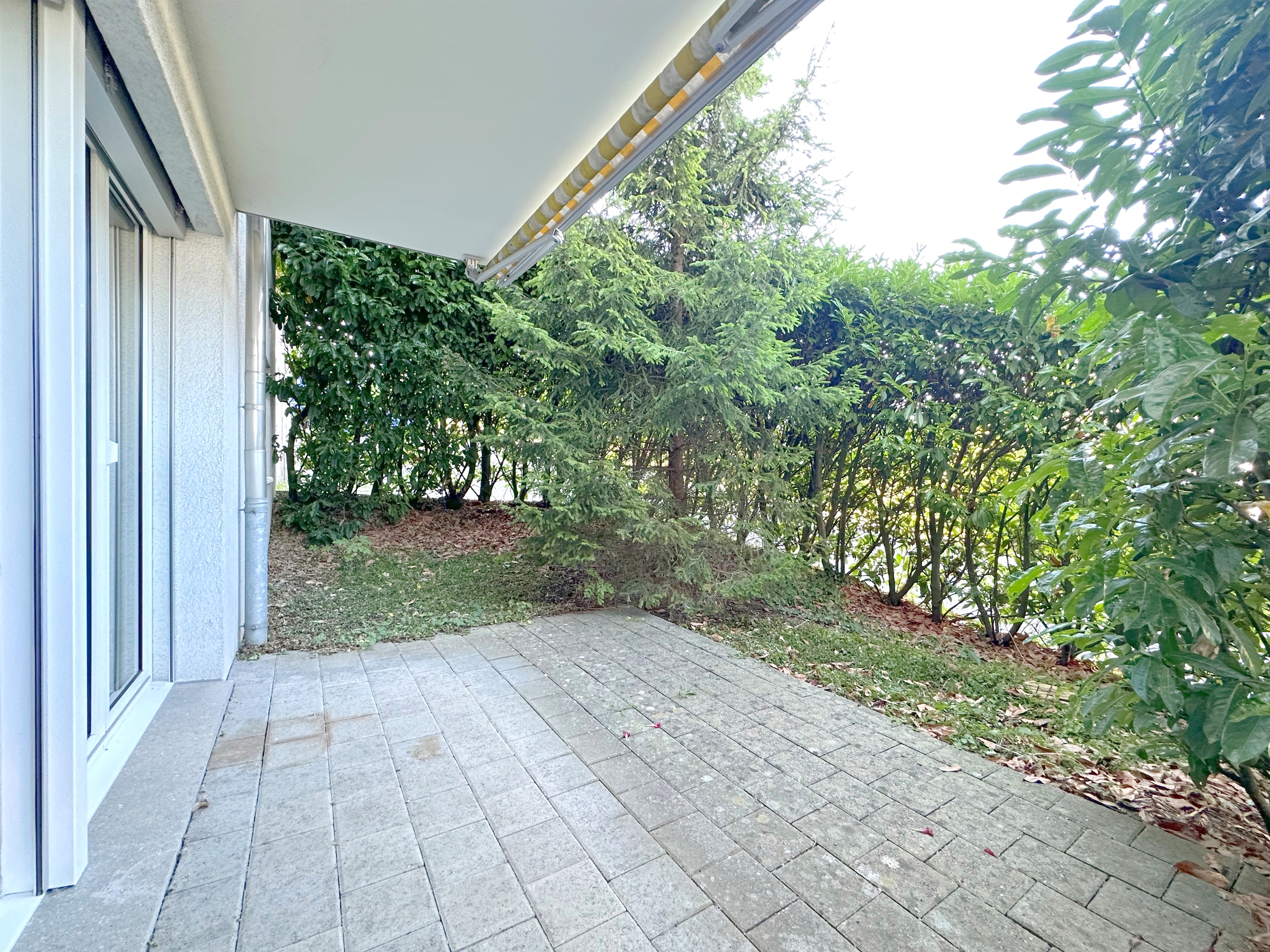 Foto 12