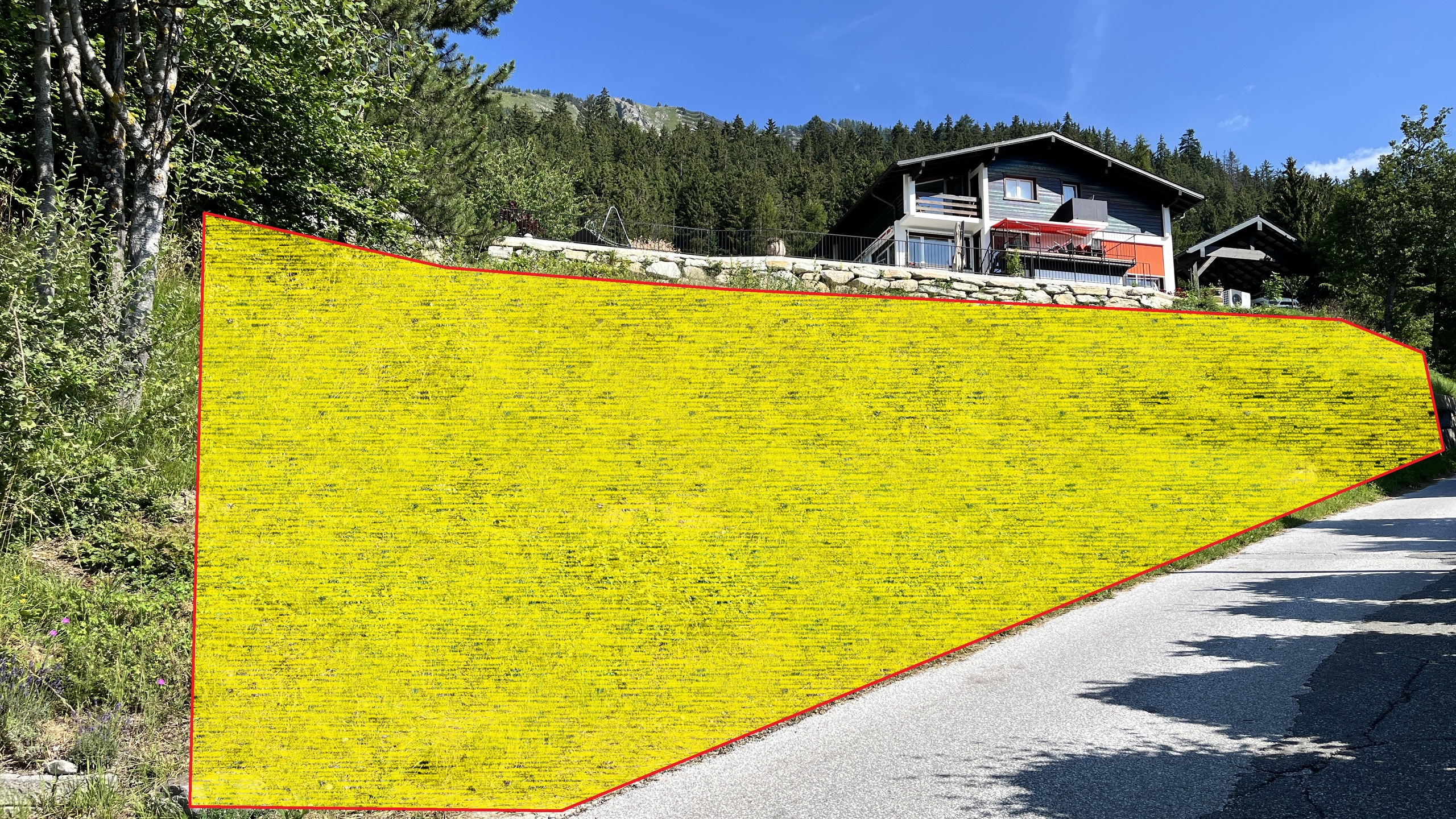 Vue de la parcelle Vue de la parcelle