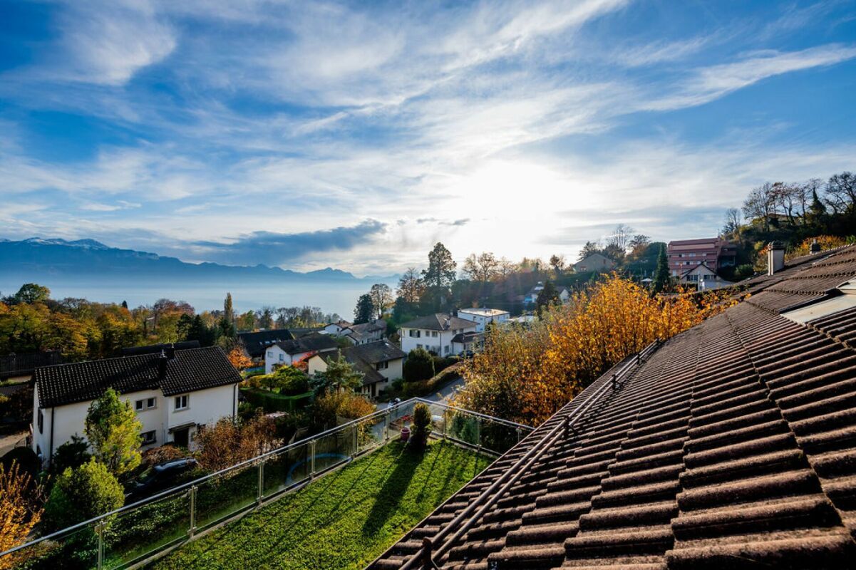 Immagine di copertina 2