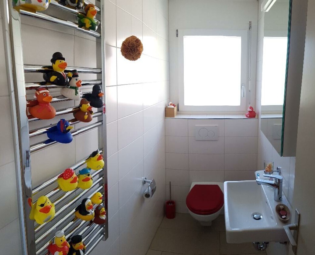 Photo 7