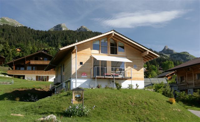 Photo 7
