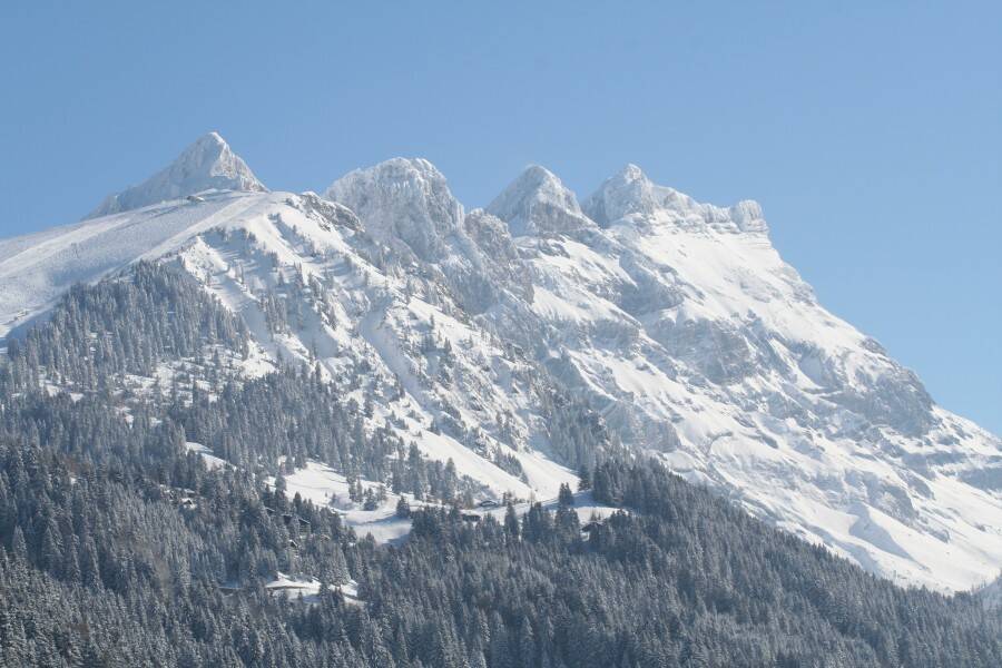 Photo 2