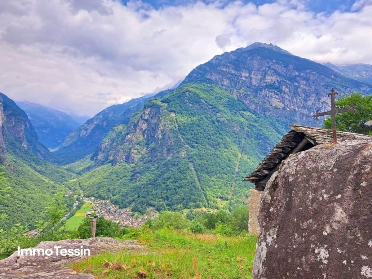 Immagine di copertina