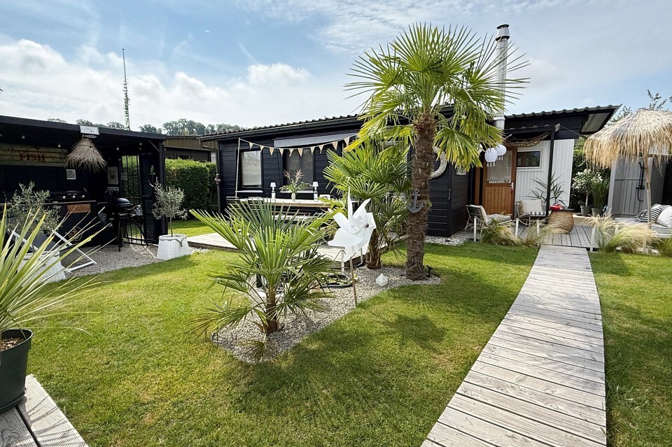 Immagine di copertina