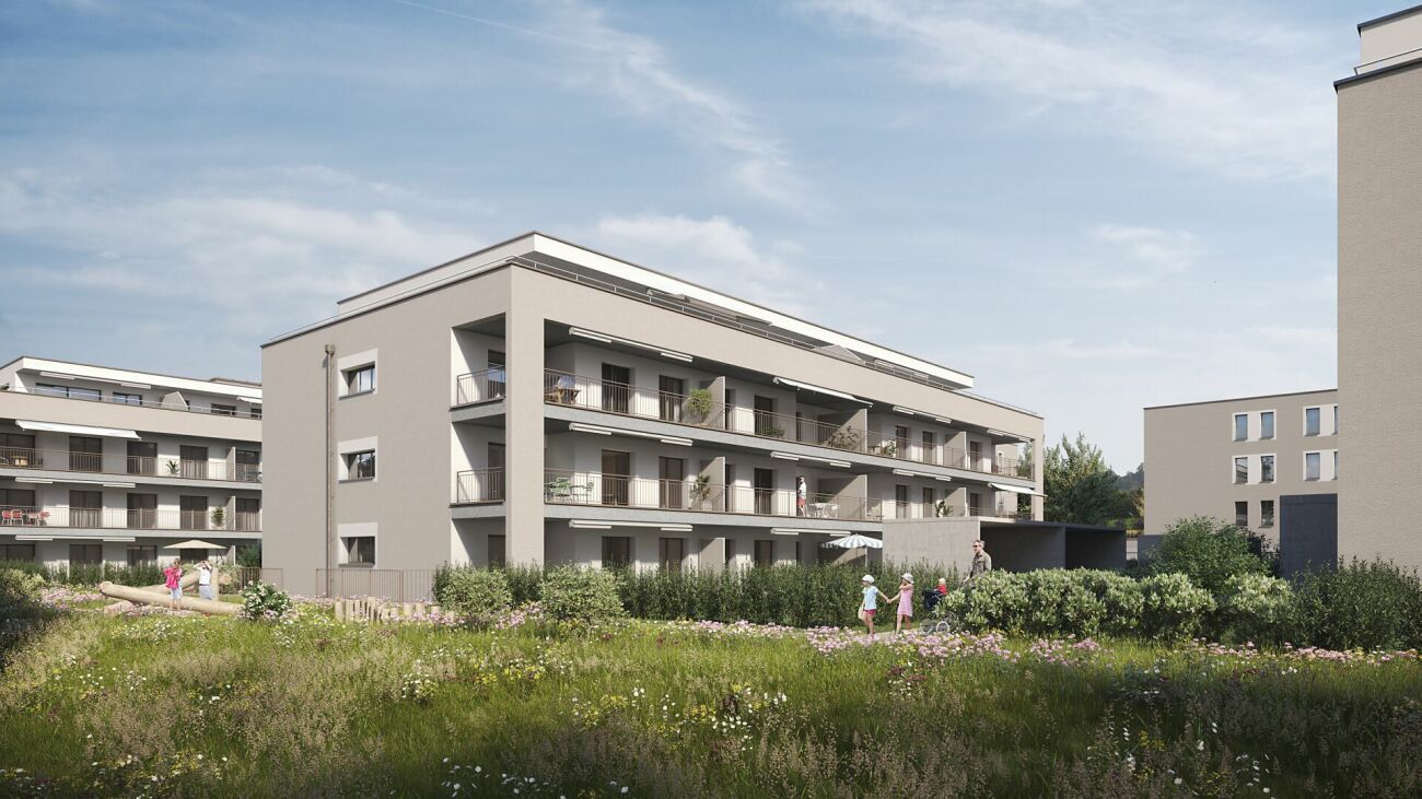 Premier coup d'oeil 1