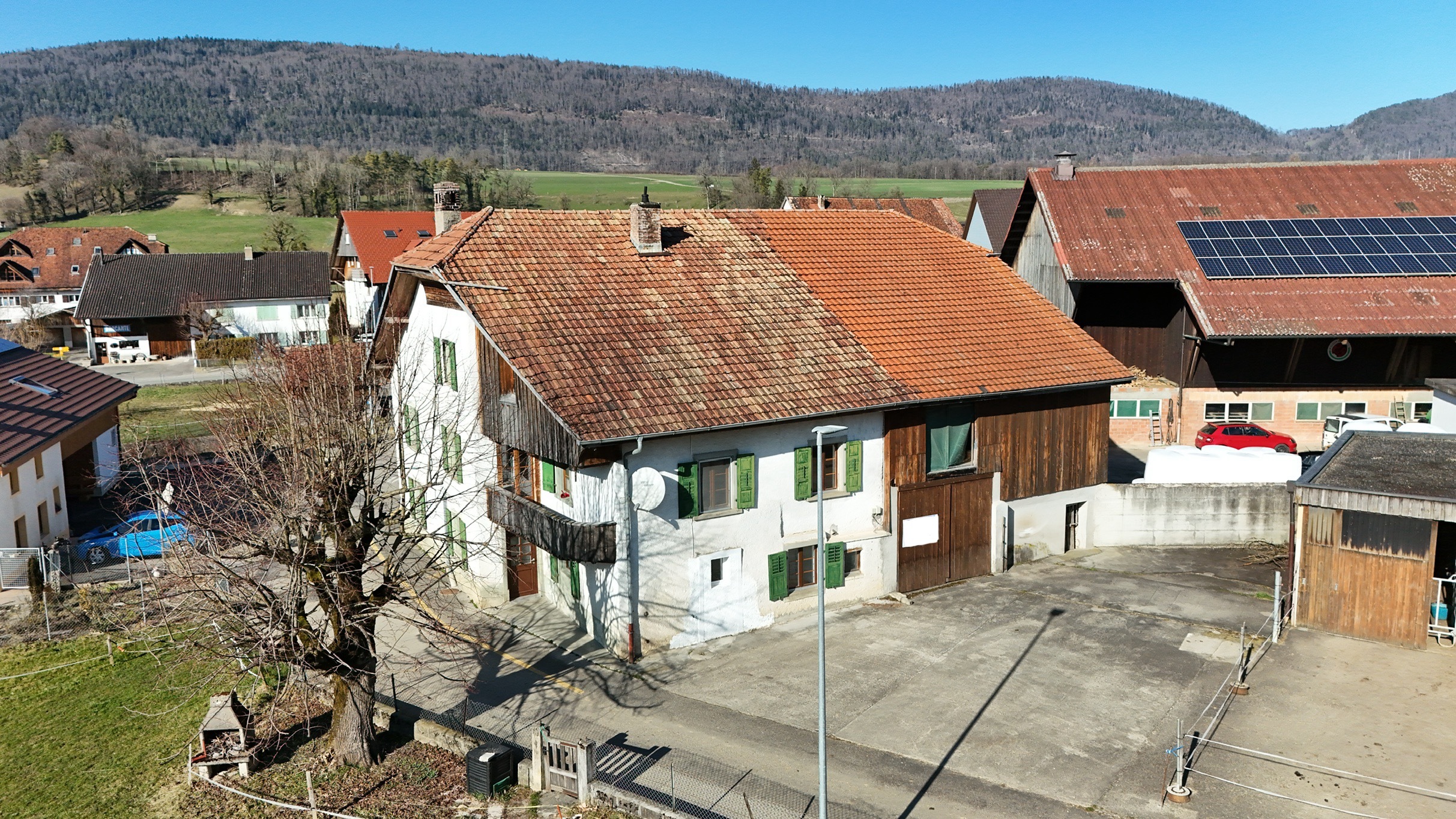 Immagine di copertina