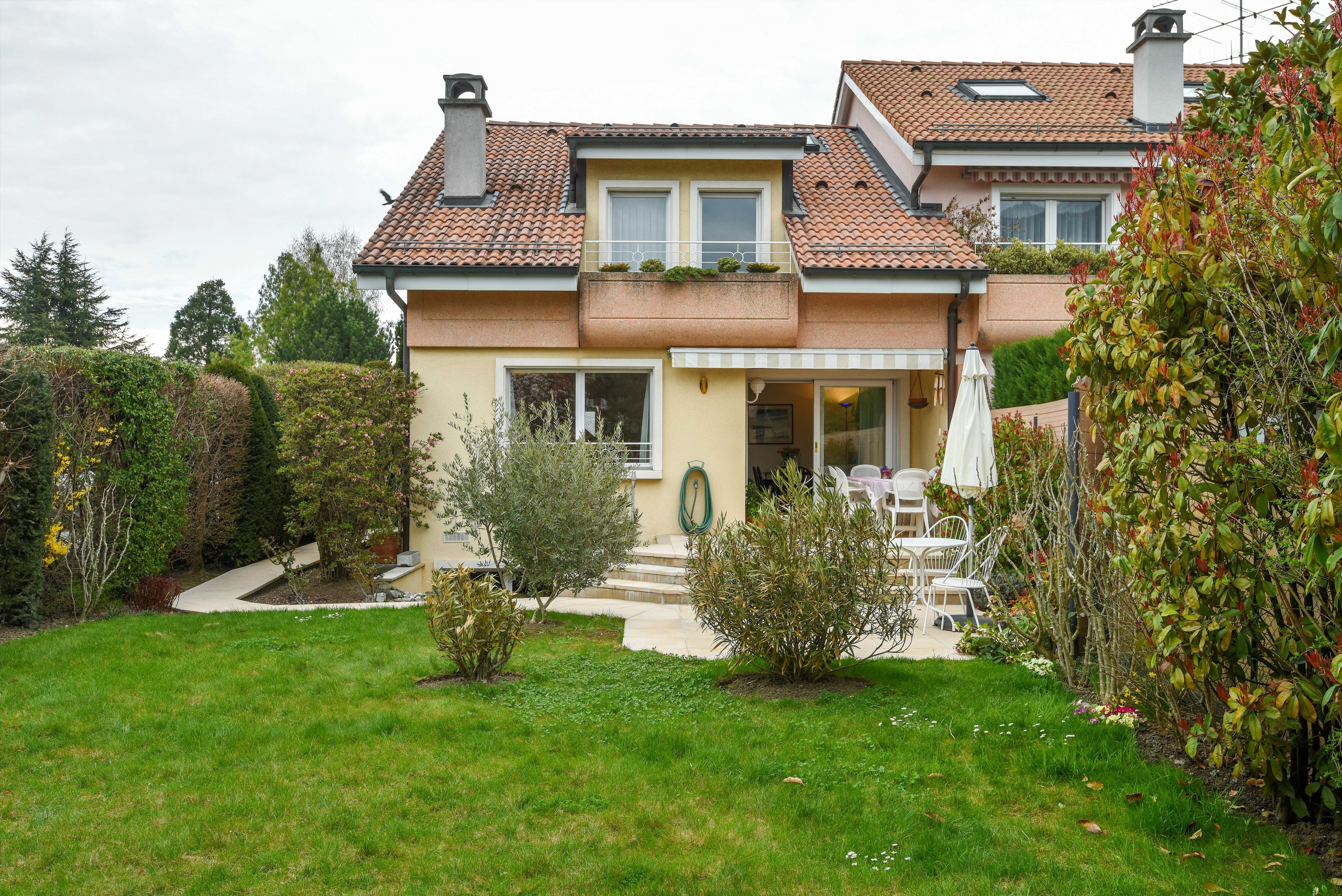 Firstview