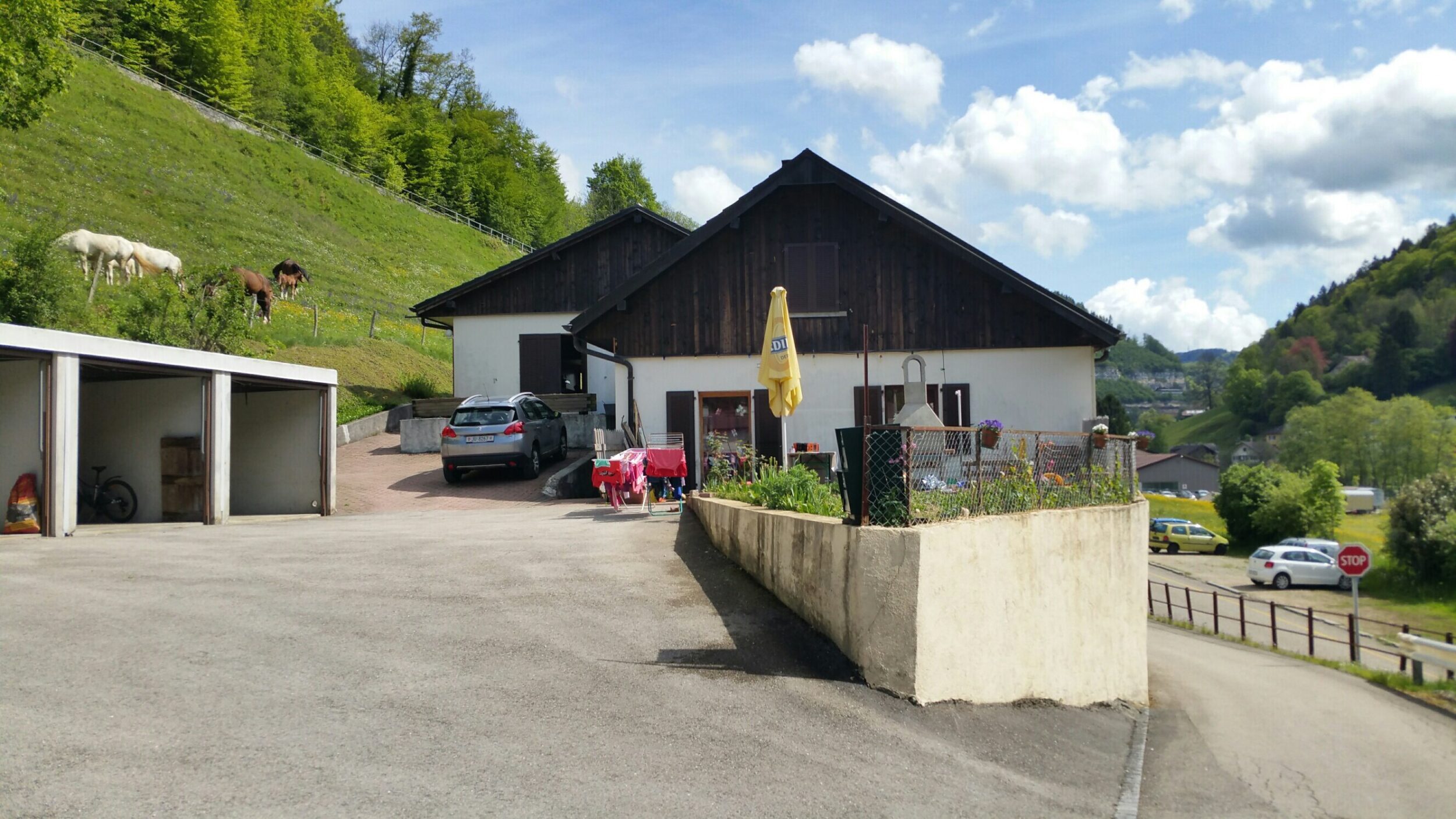 Foto 11