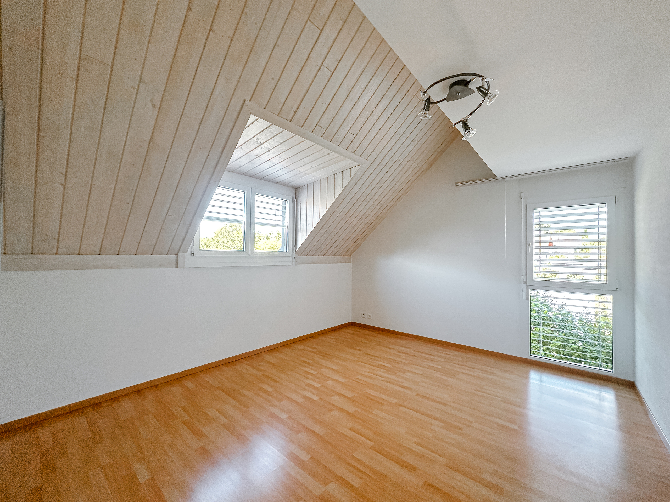 Interior view 4