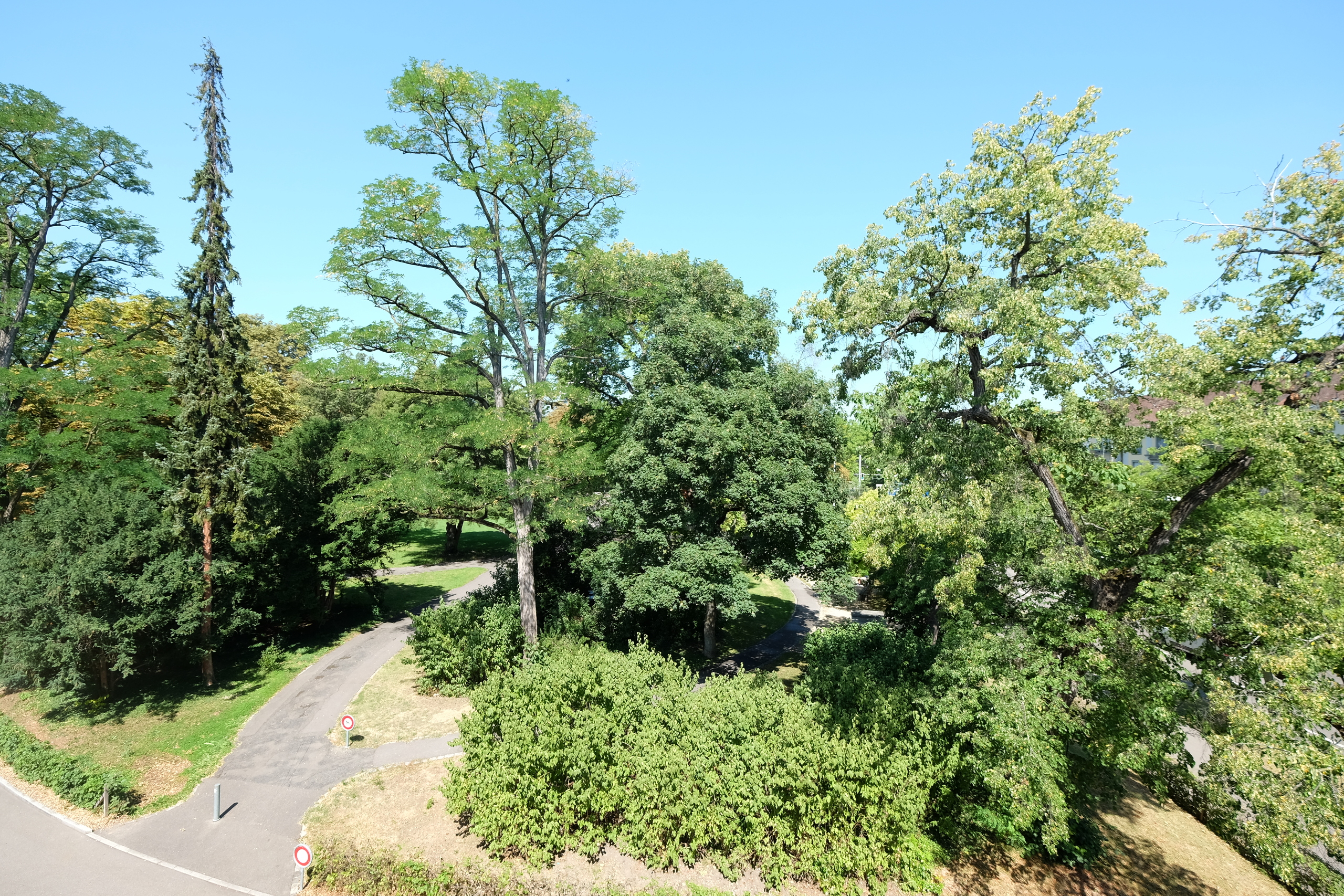 Aussicht Balkon West  Aussicht Balkon West