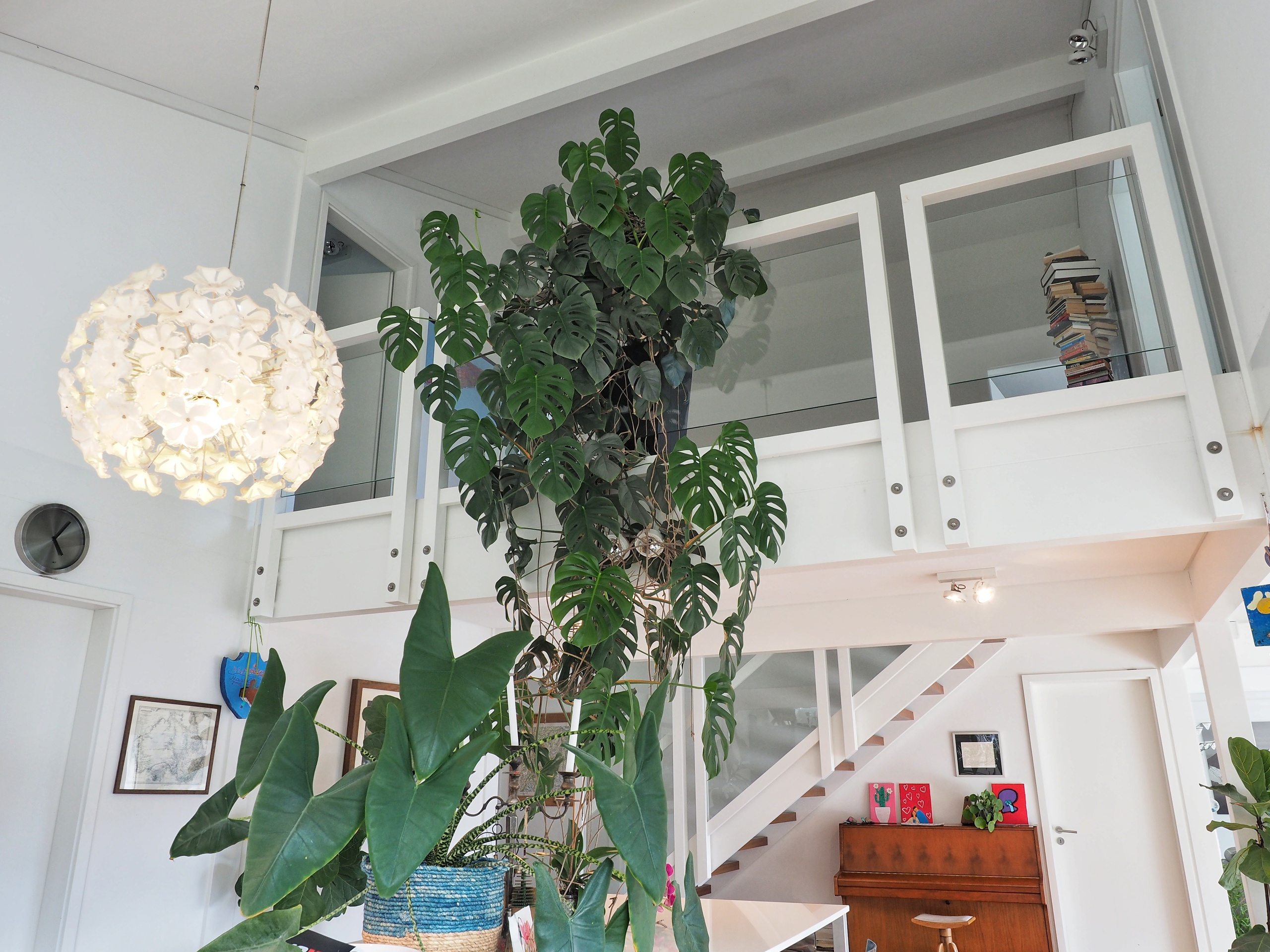 Interior view 20