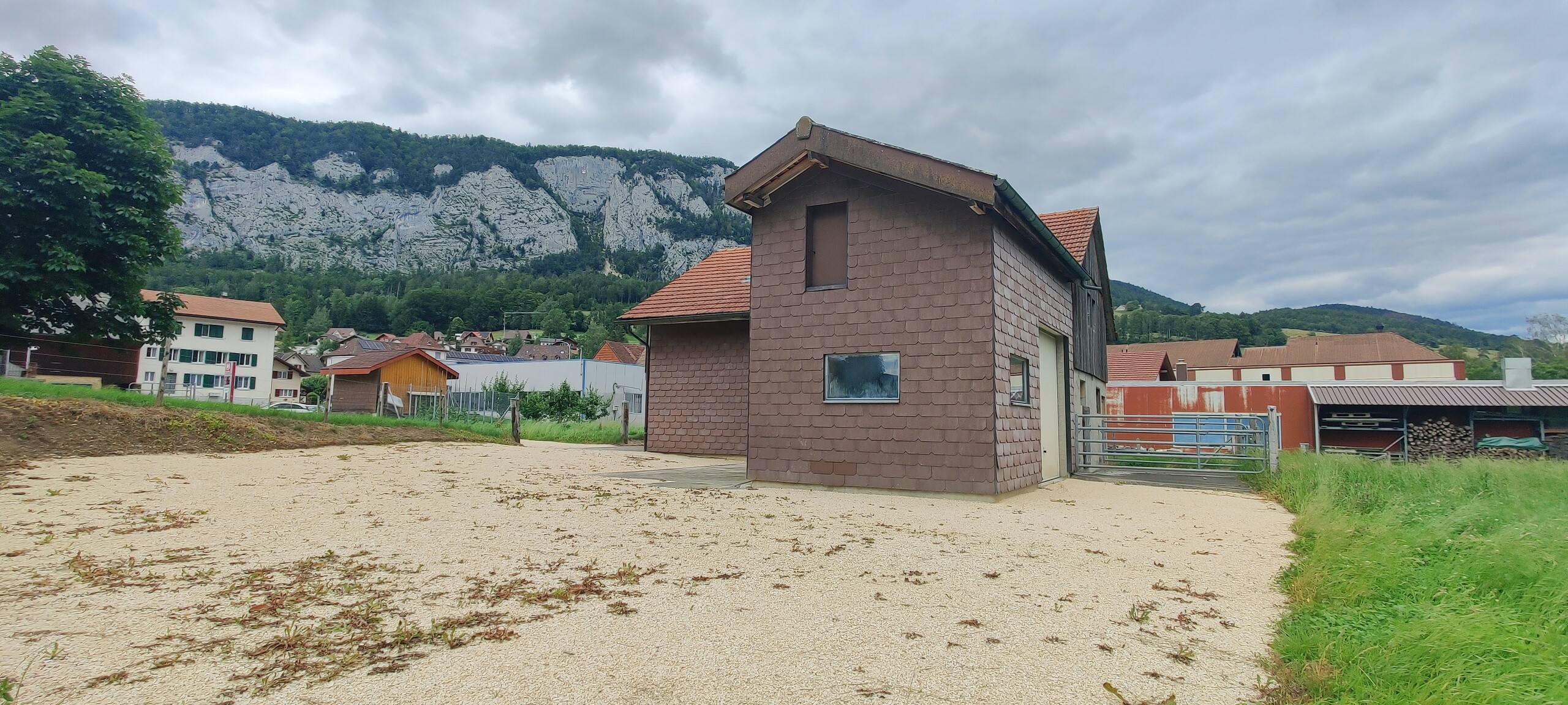 Picture 5