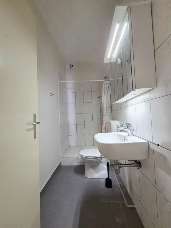 Picture 6