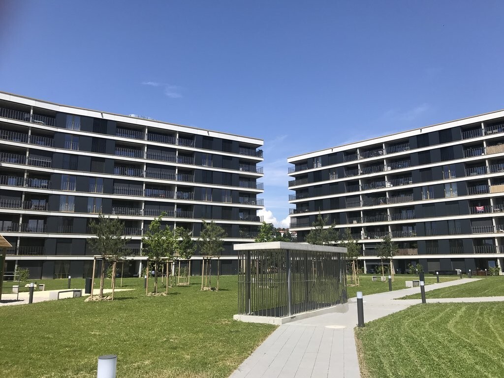 Premier coup d'oeil 1