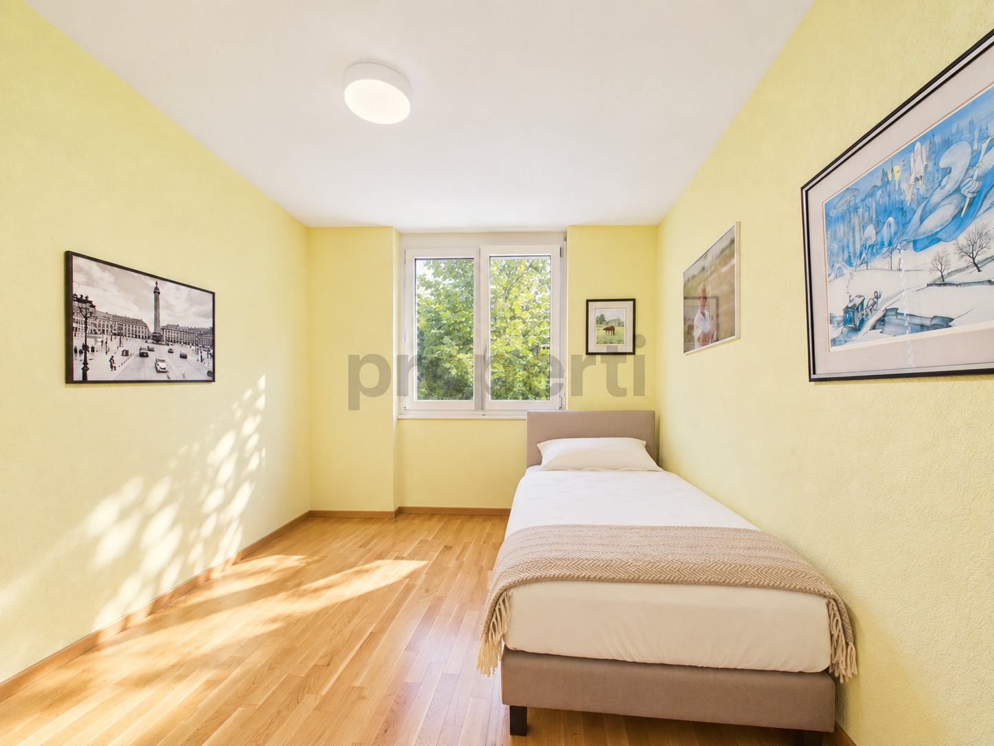 Picture 8