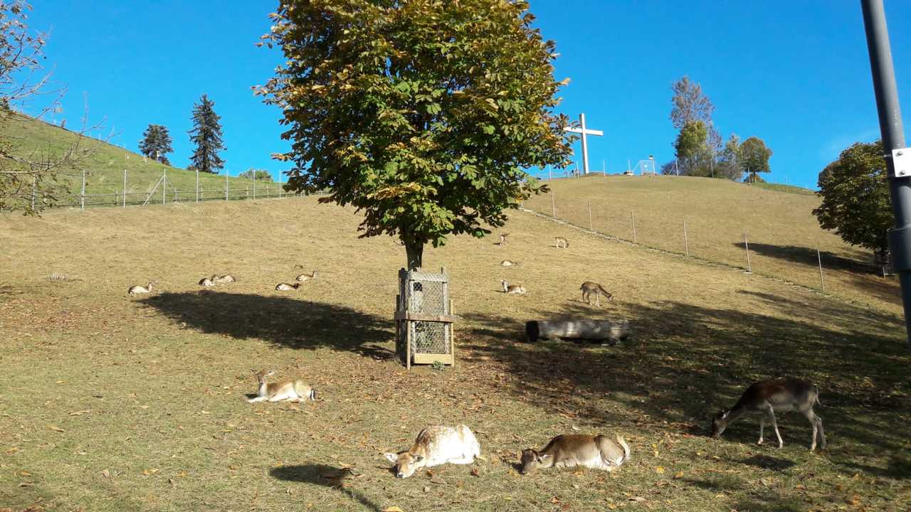 Naherholungsgebiet in unmittelbarer Nähe