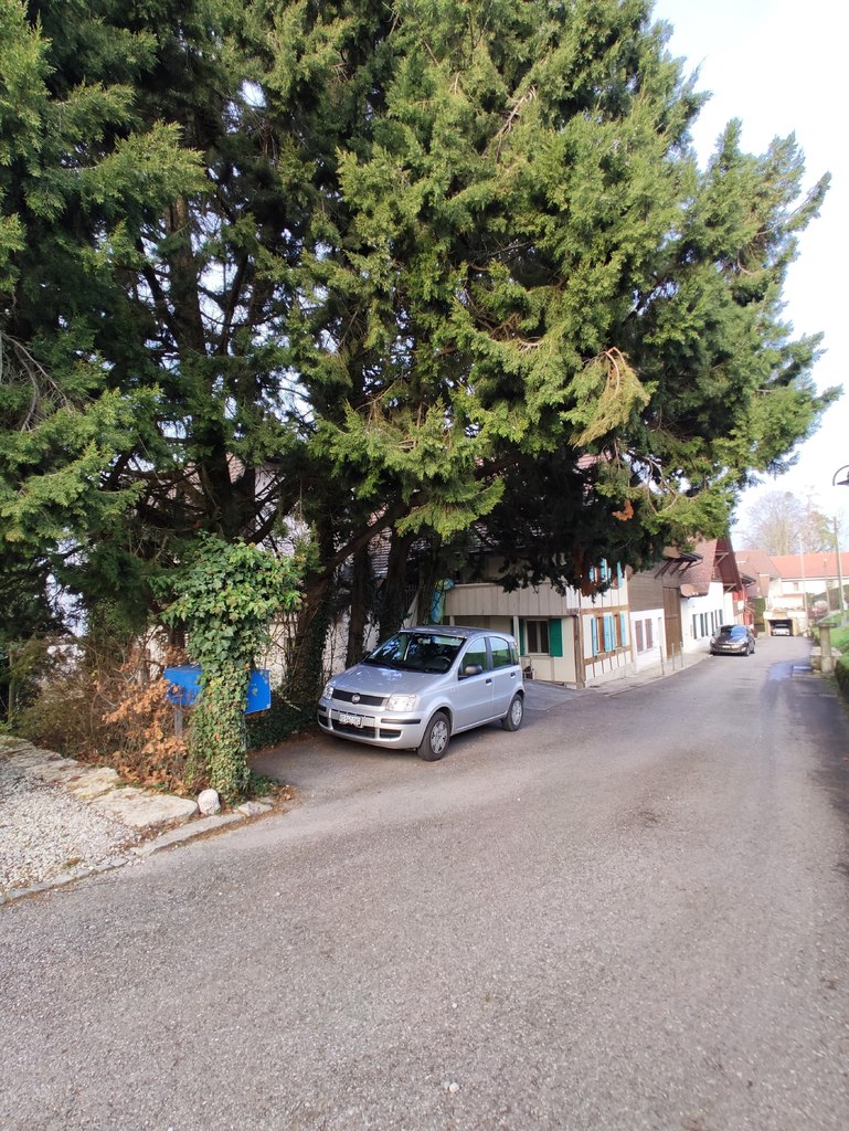 place de parc place de parc