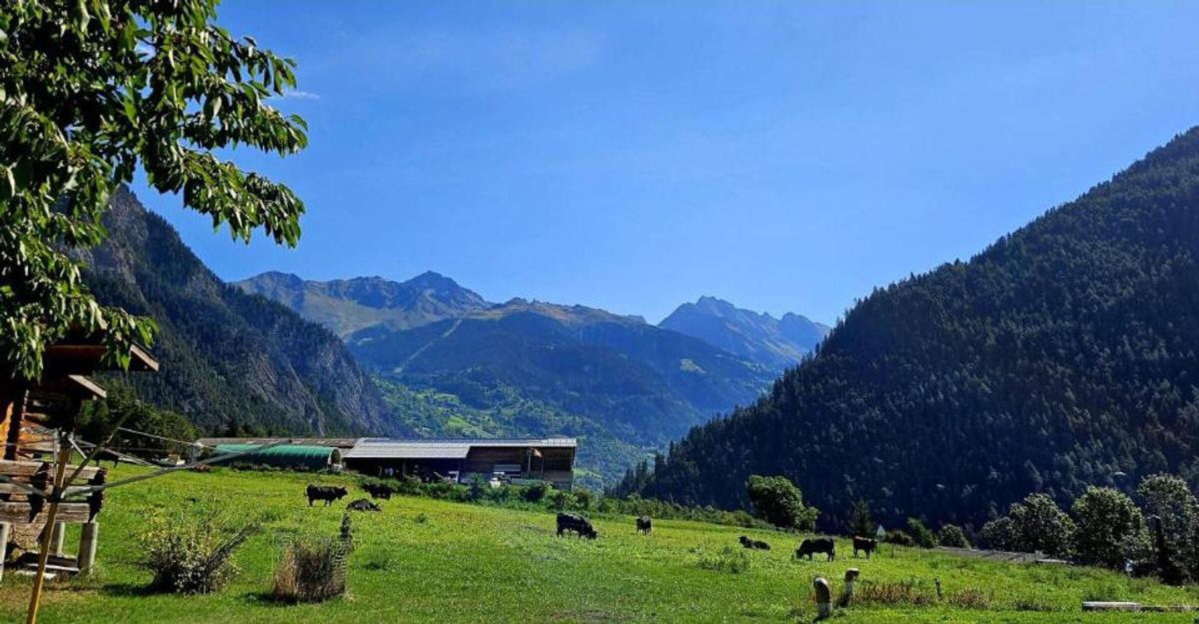 Foto 6