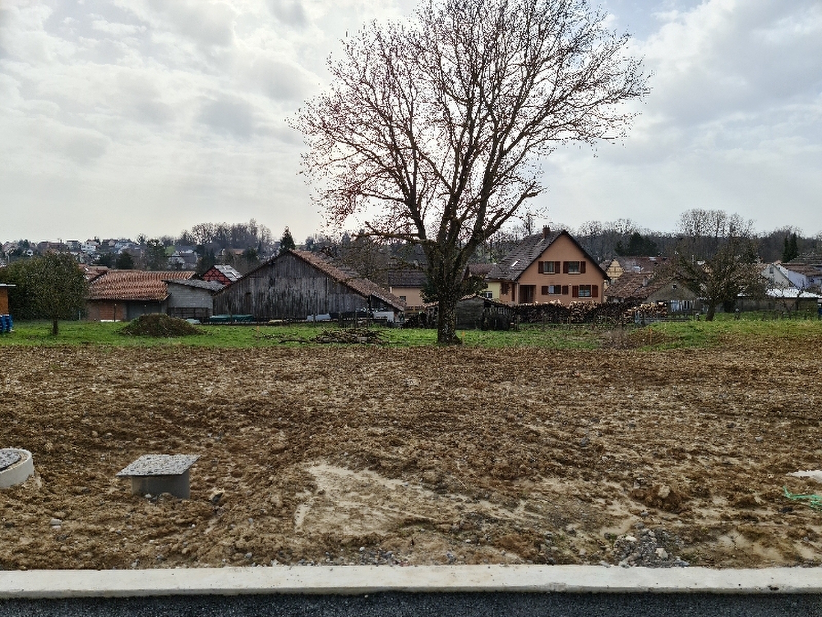 Photo 4