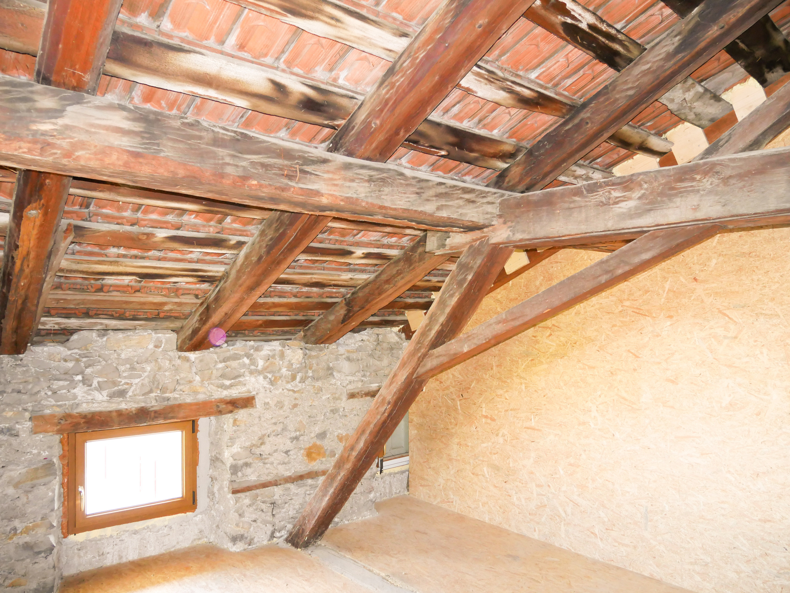 Interior view 12