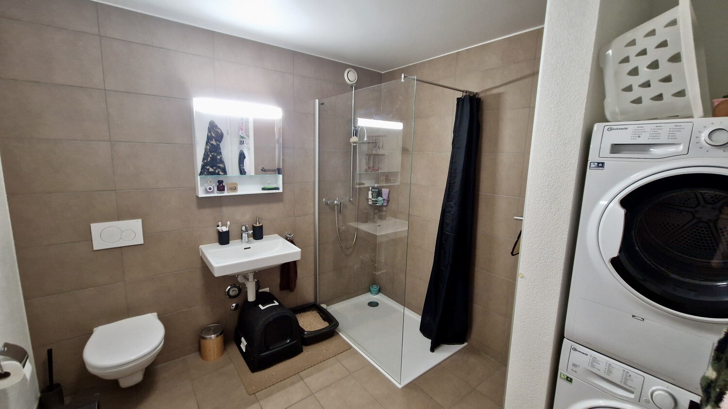 Picture 6