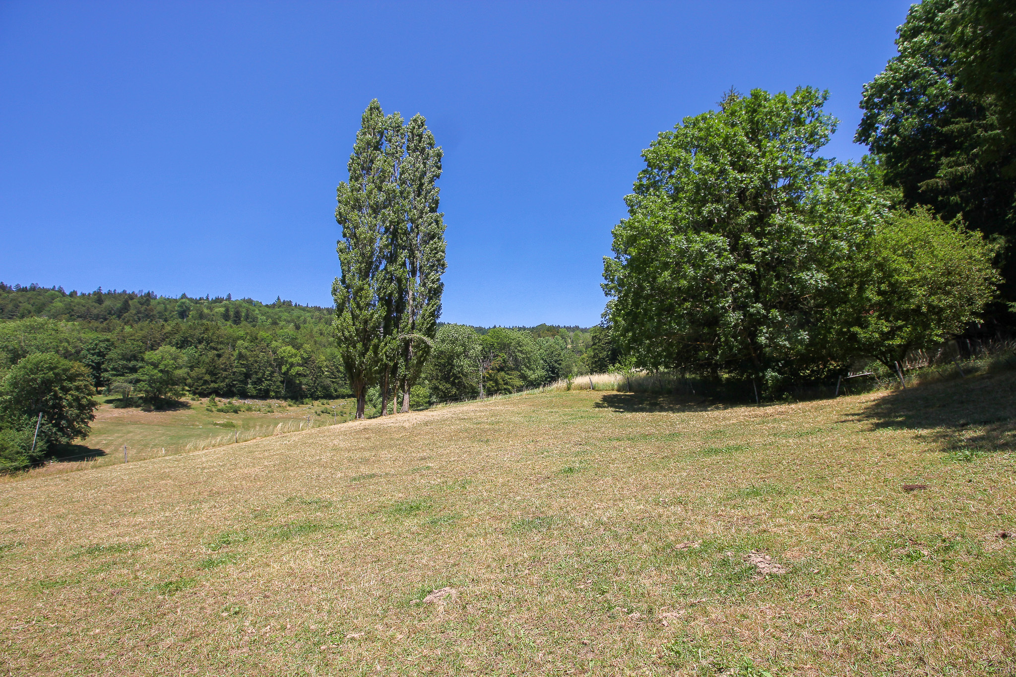 Dégagement sur la nature et les alentours