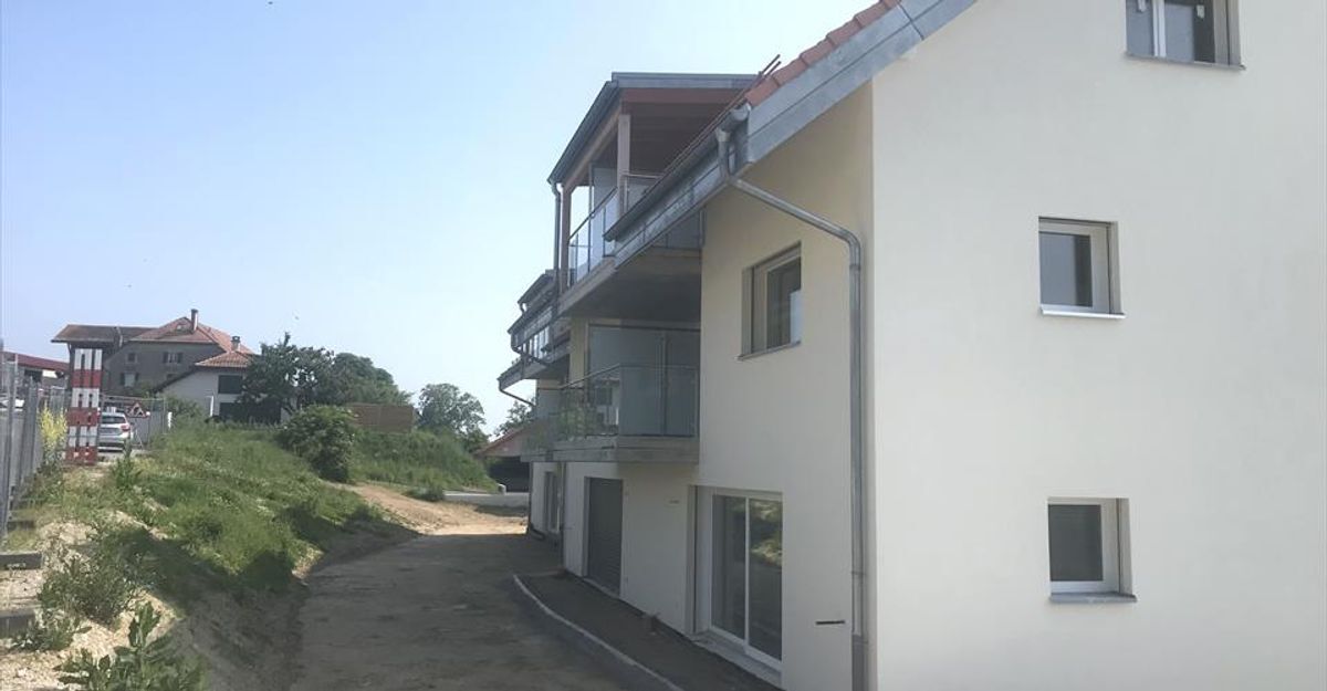 Picture 15