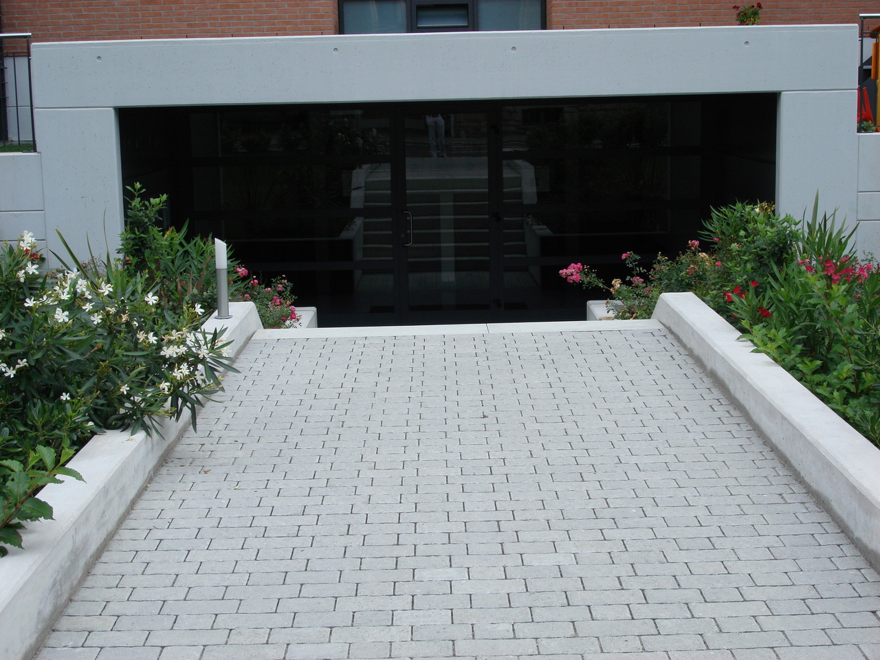 Picture 5