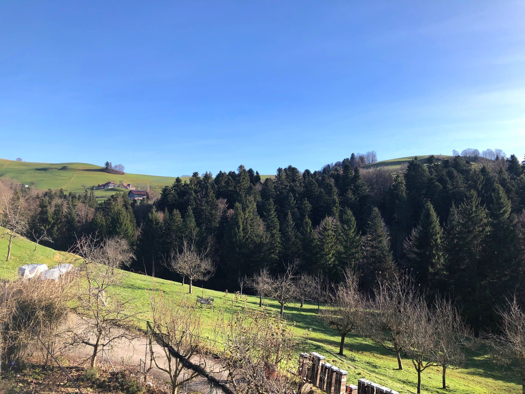 Alleinlage und Ruheoase