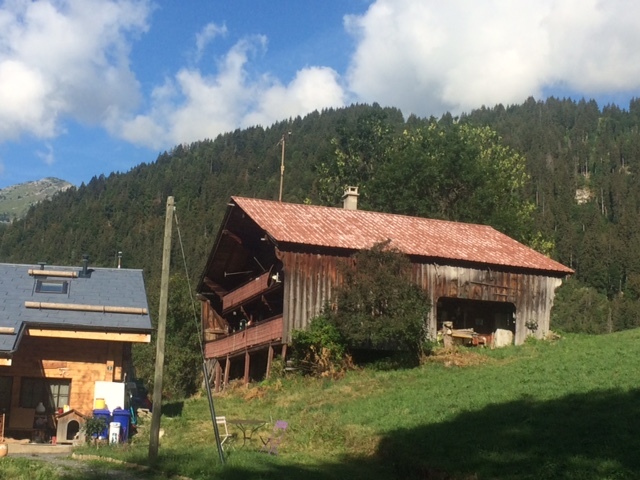 Photo 5