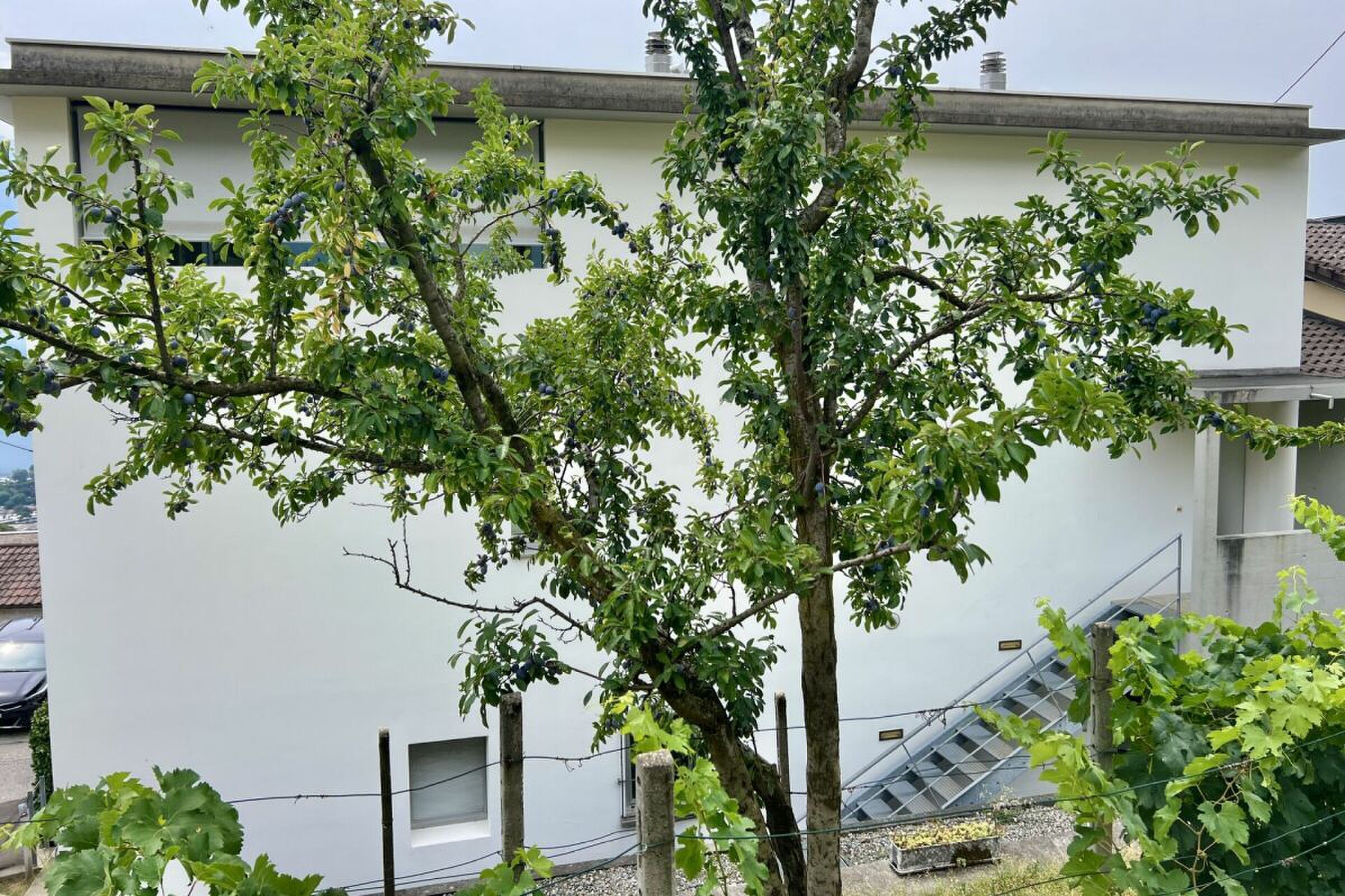 Photo 44