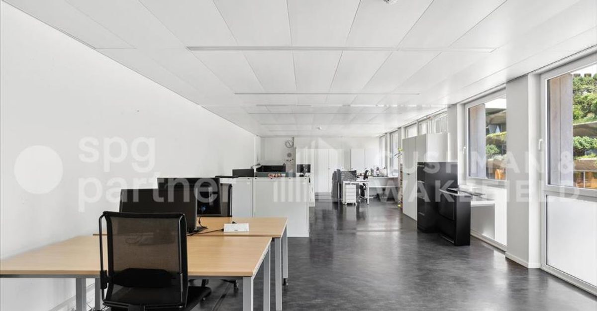 Foto 7