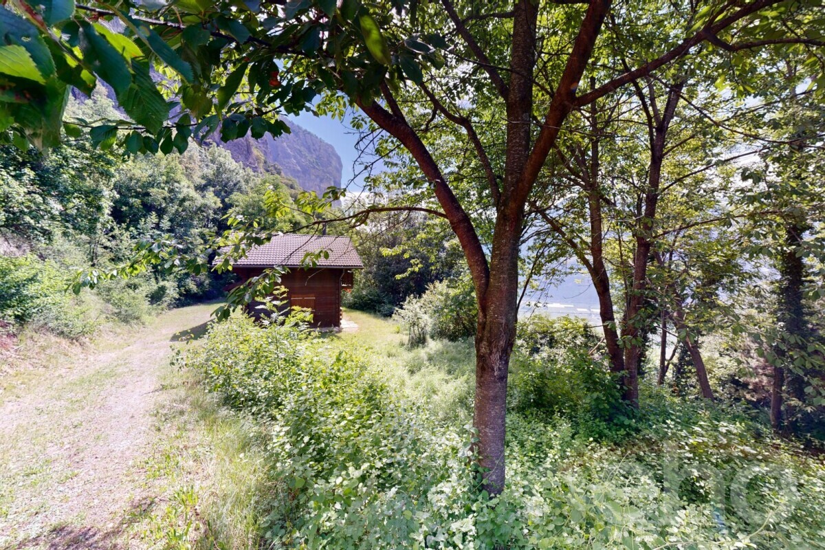 Foto 11