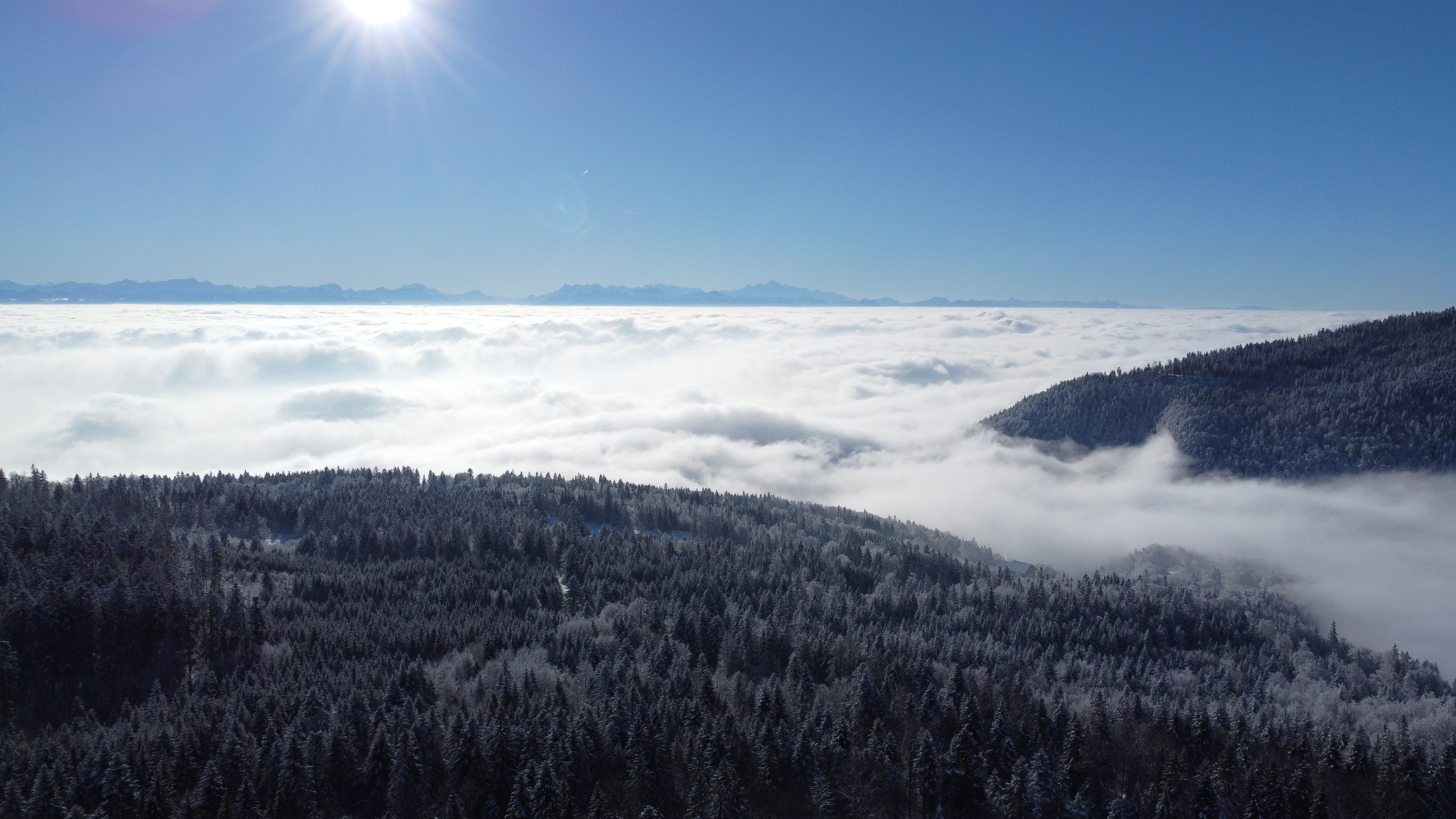 Magnifique vue depuis le logement