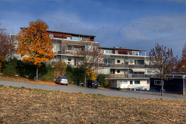 Immagine di copertina