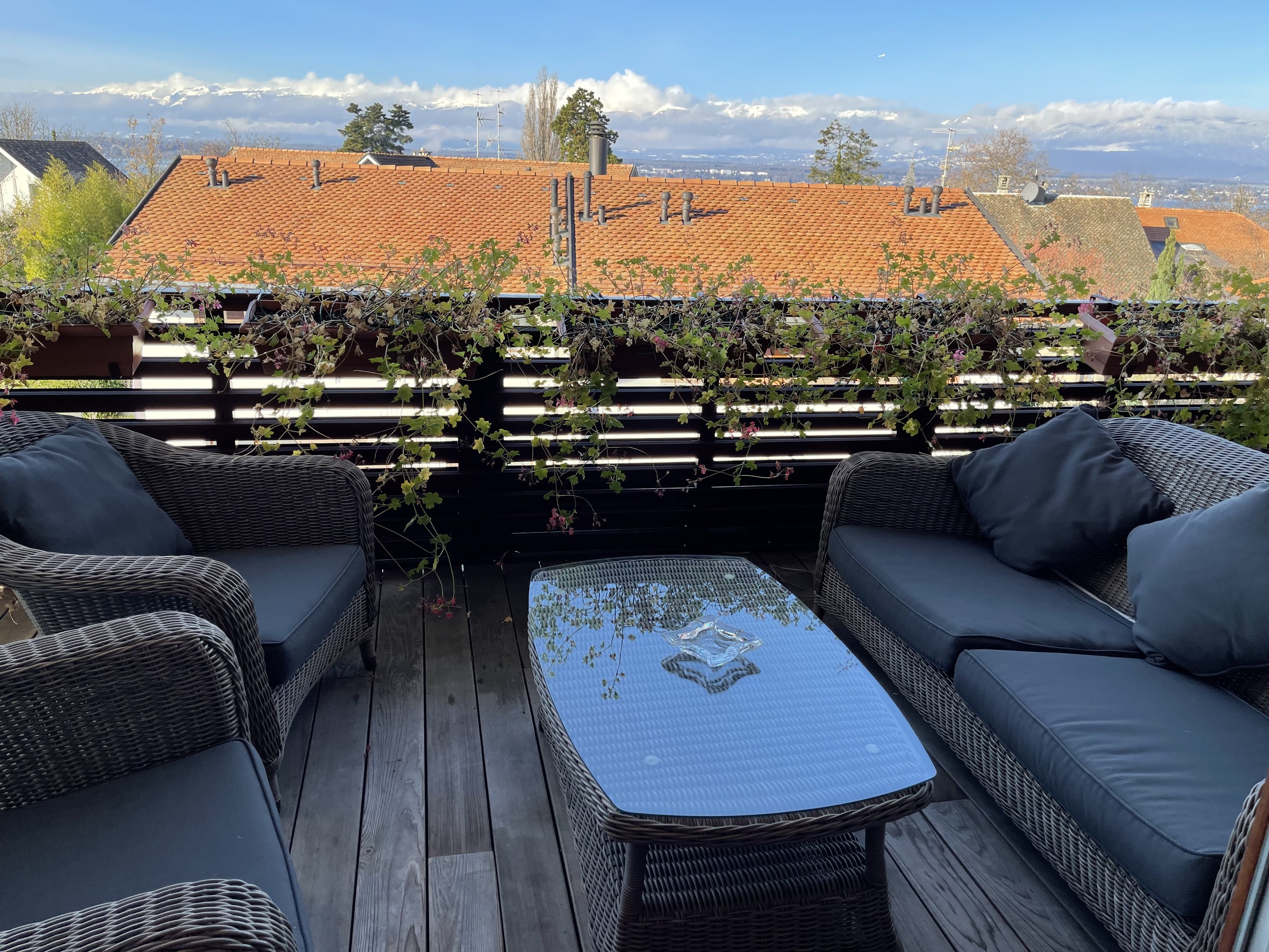 Terrasse avec vue lac (côté salon) Terrasse avec vue lac (côté salon)