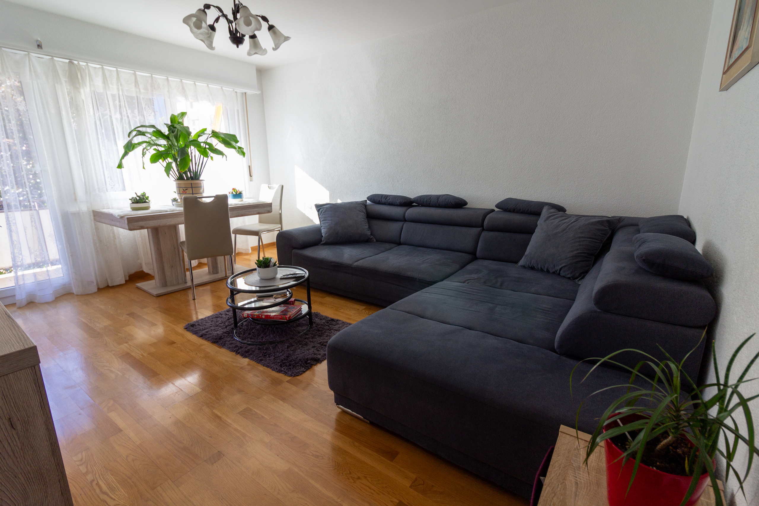 Interior view 1